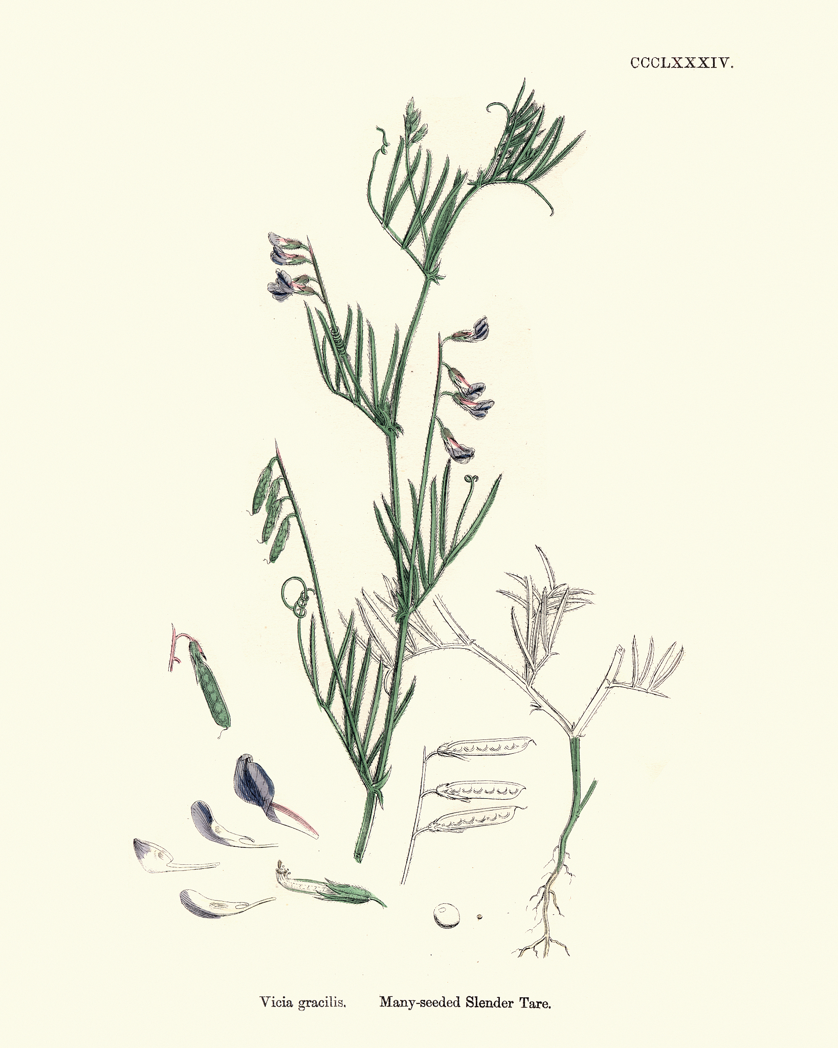 延安大学生物科学专业课程介绍：培养生物科学领域高素质人才