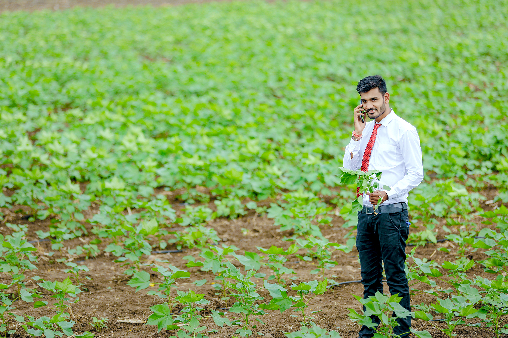 吉林农业管理属于农学还是管理学 学什么课程