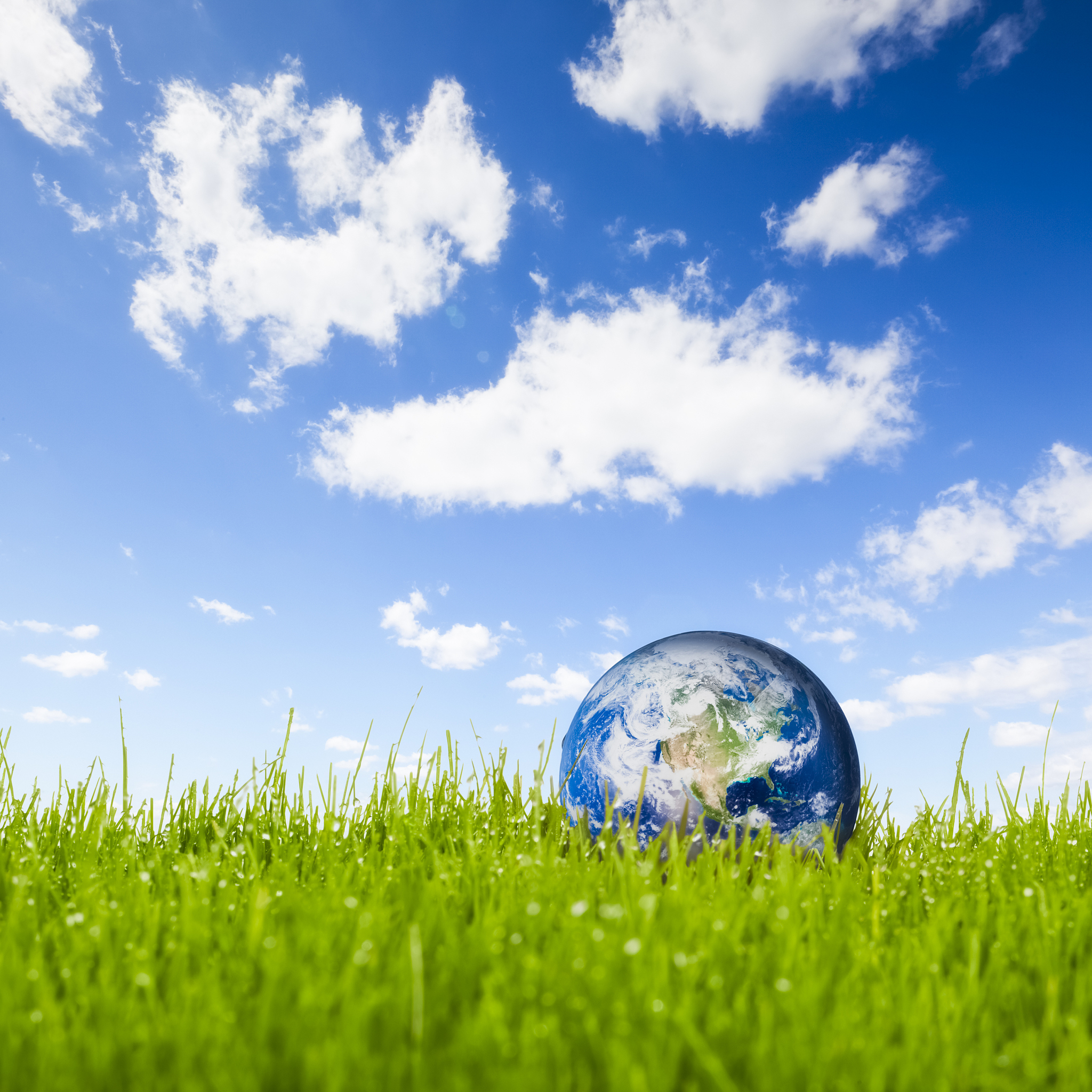 保护生态环境的意义：生物多样性、生态系统功能、人类健康、资源可持续利用和文化遗产