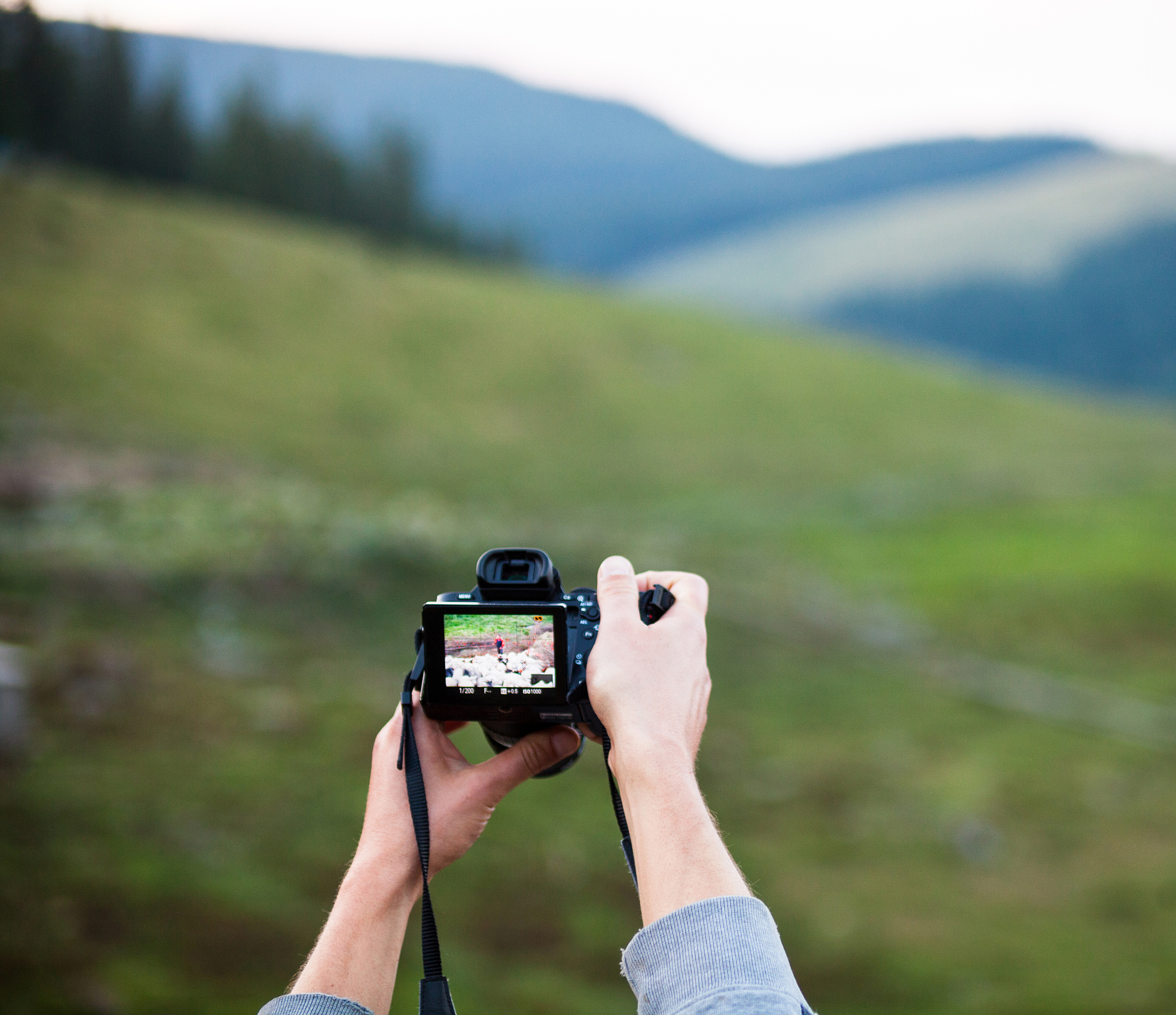 以摄影师的身份写一篇1200字如何向别人展示手机拍照与相机拍照的区别？的文章
