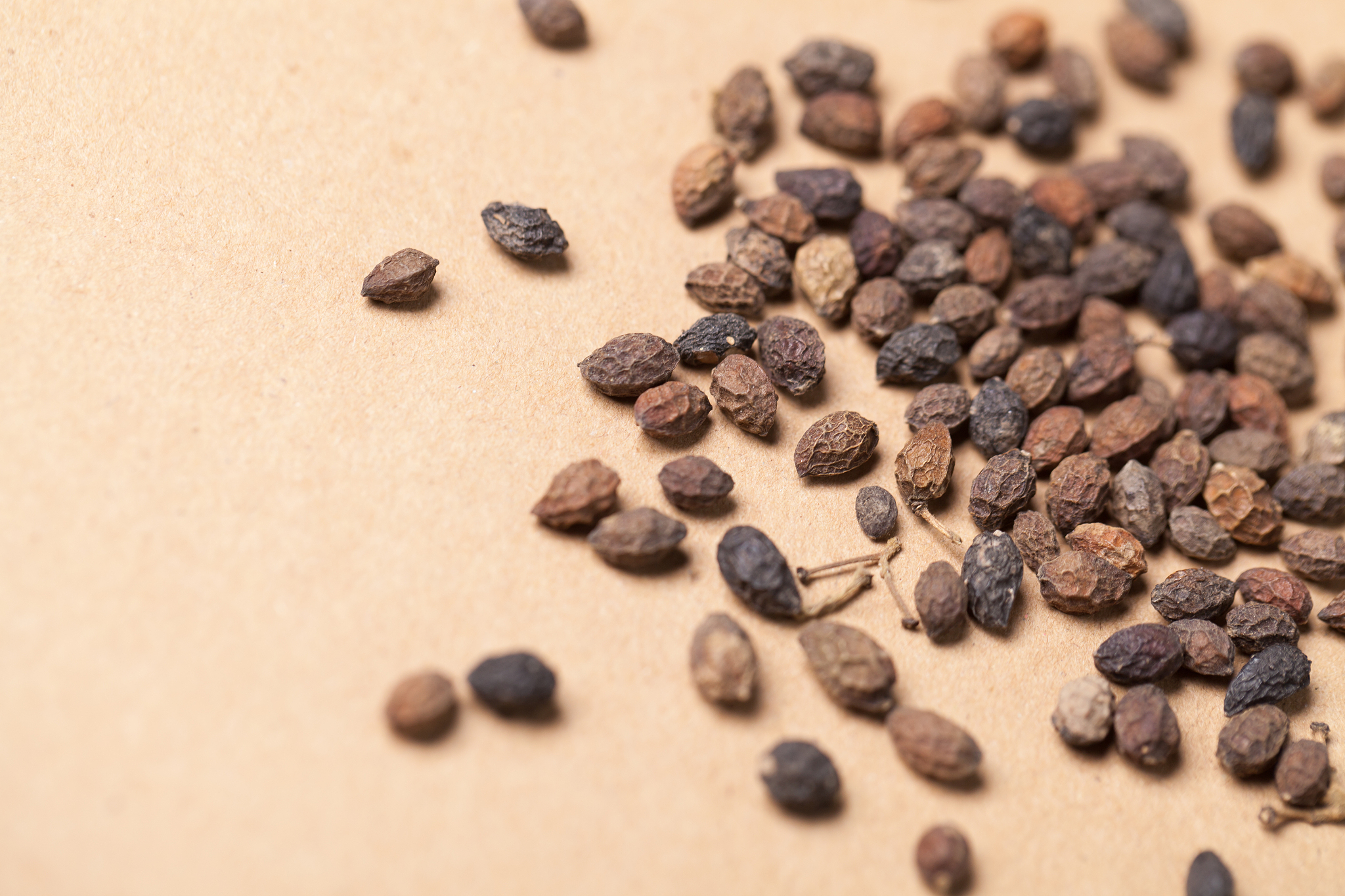 四川中医药高等专科学校五年制大专药剂专业未来发展如何