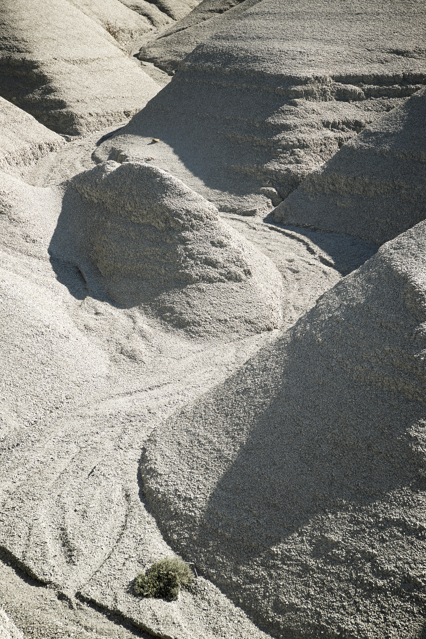 成土因素对土壤形成的影响及土壤类型概述