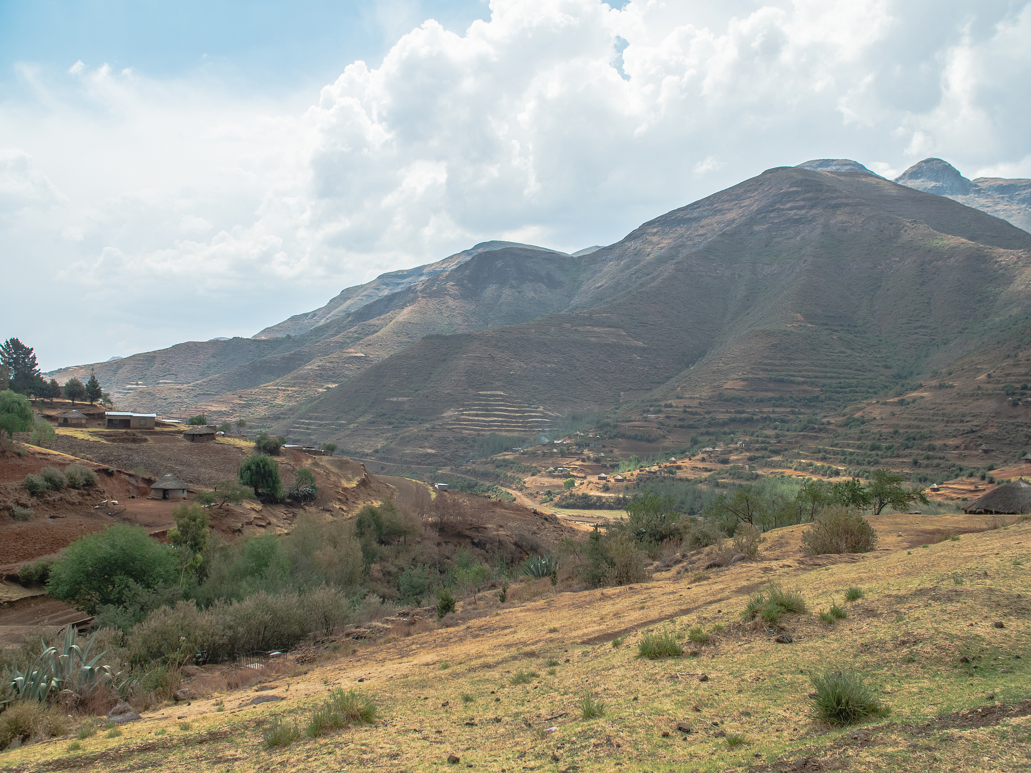 宝塔区姚店镇岳家塔土壤与植被概况
