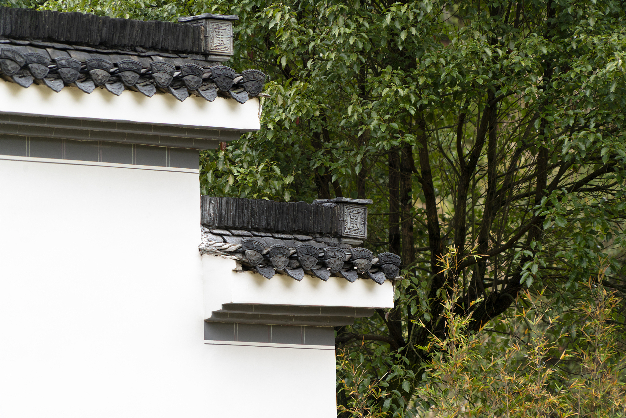 党的二十大擘画了以中国式现代化全面推进中华民族伟大复兴的宏伟蓝图。请对比中西方现代化道路的区别阐述如何走好中国式现代化道路