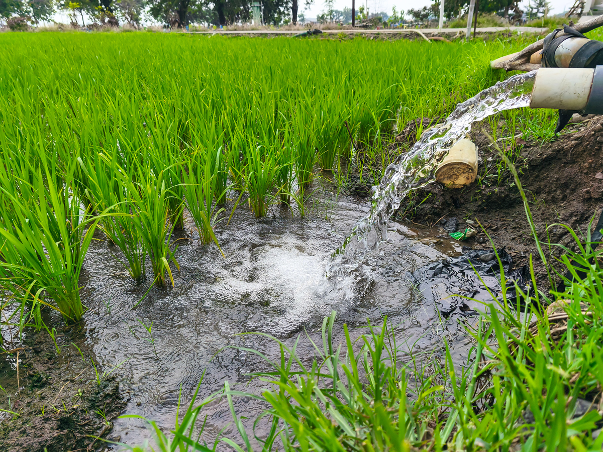 地下水荧光检测
