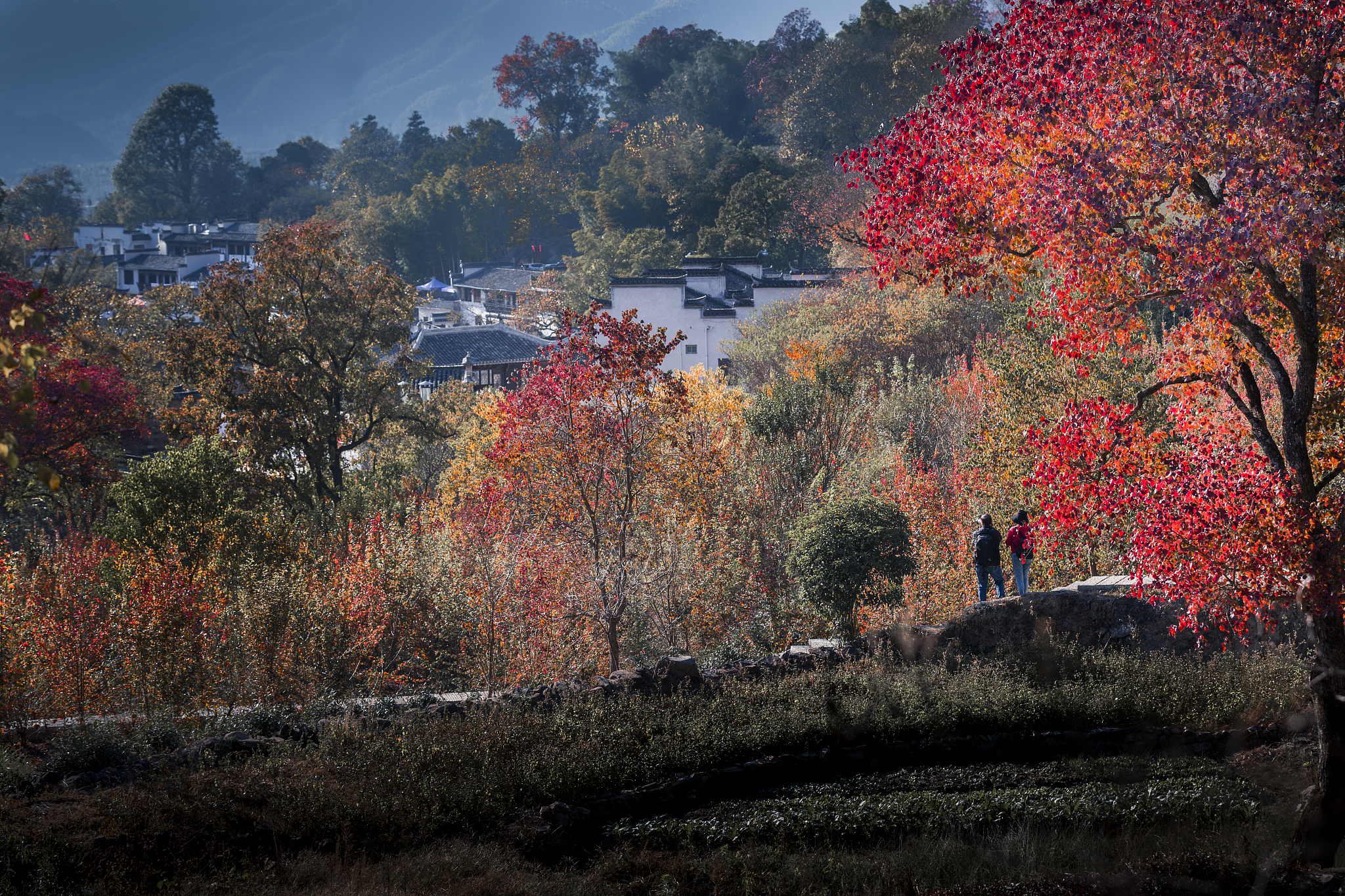 九月秋意渐浓，山村静谧幽深