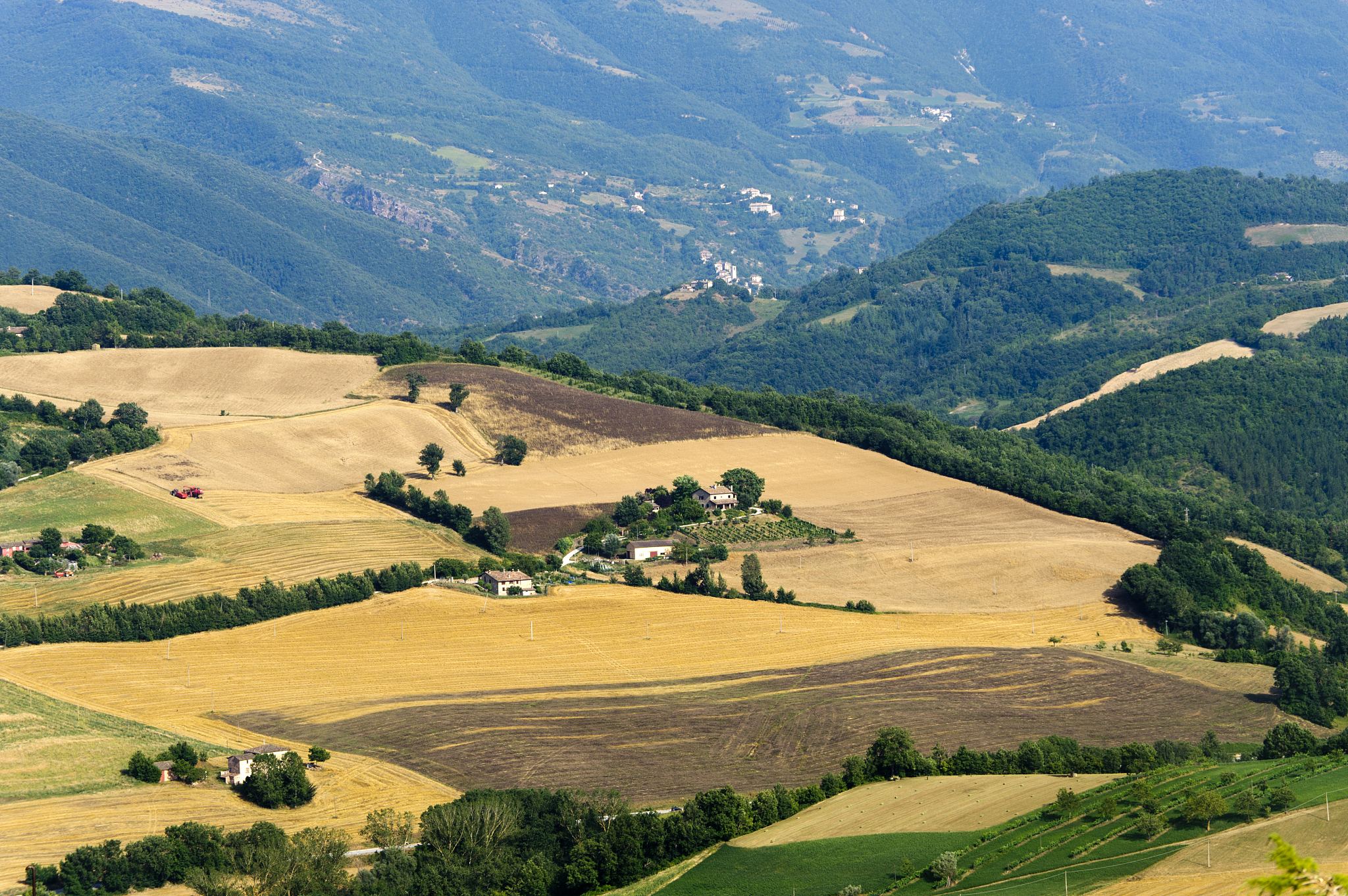 marches, landscape at summer