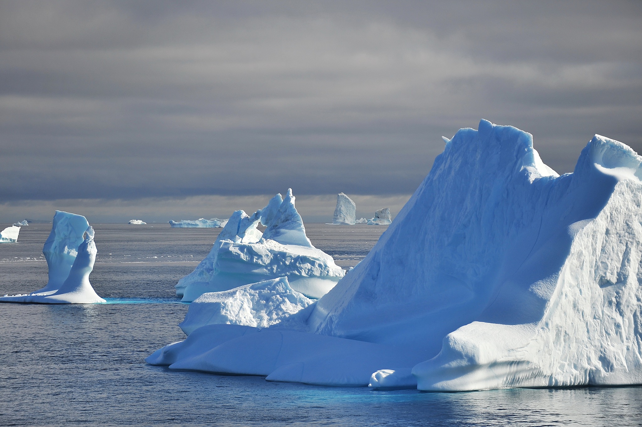 icebergs drift in the ocean.