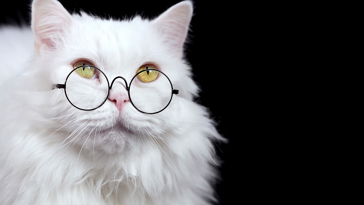 黑龙江民族职业学院动物科学与技术专业怎么样