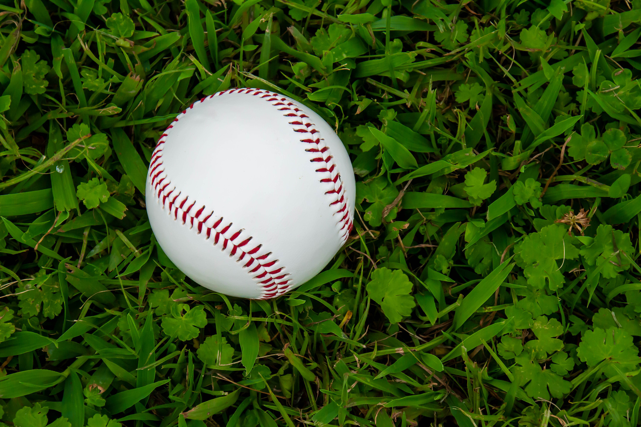 baseball field and hardball
