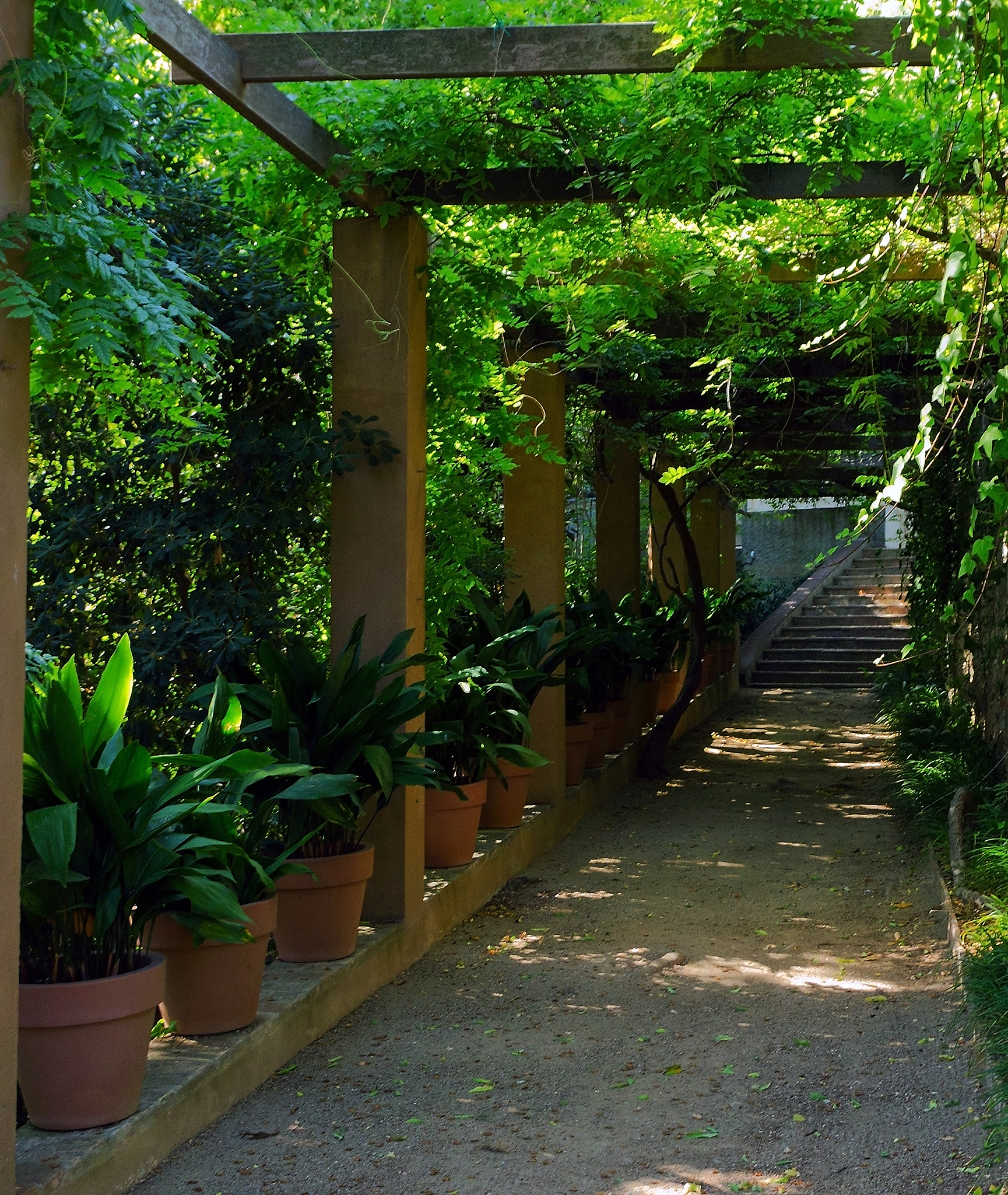 庭院花园廊架设计：葡萄架景观、休息乘凉，打造舒适自然氛围