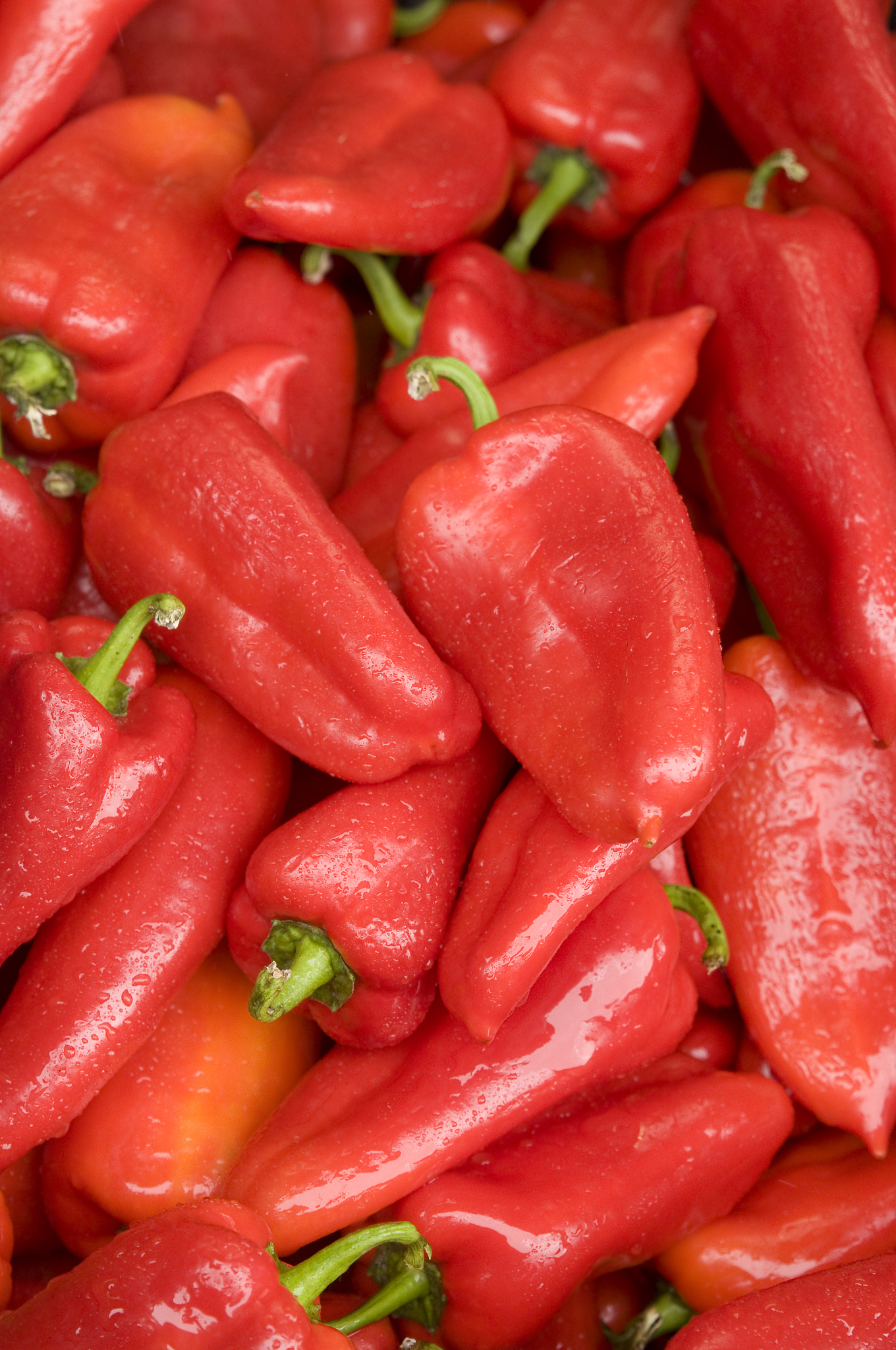 为以下代码写注释include tmpvmodule Stallctrl input wire rst input wire if_stall input wire id_stall input wire mem_stall output reg 50 stall_out; always begin if rst == 1