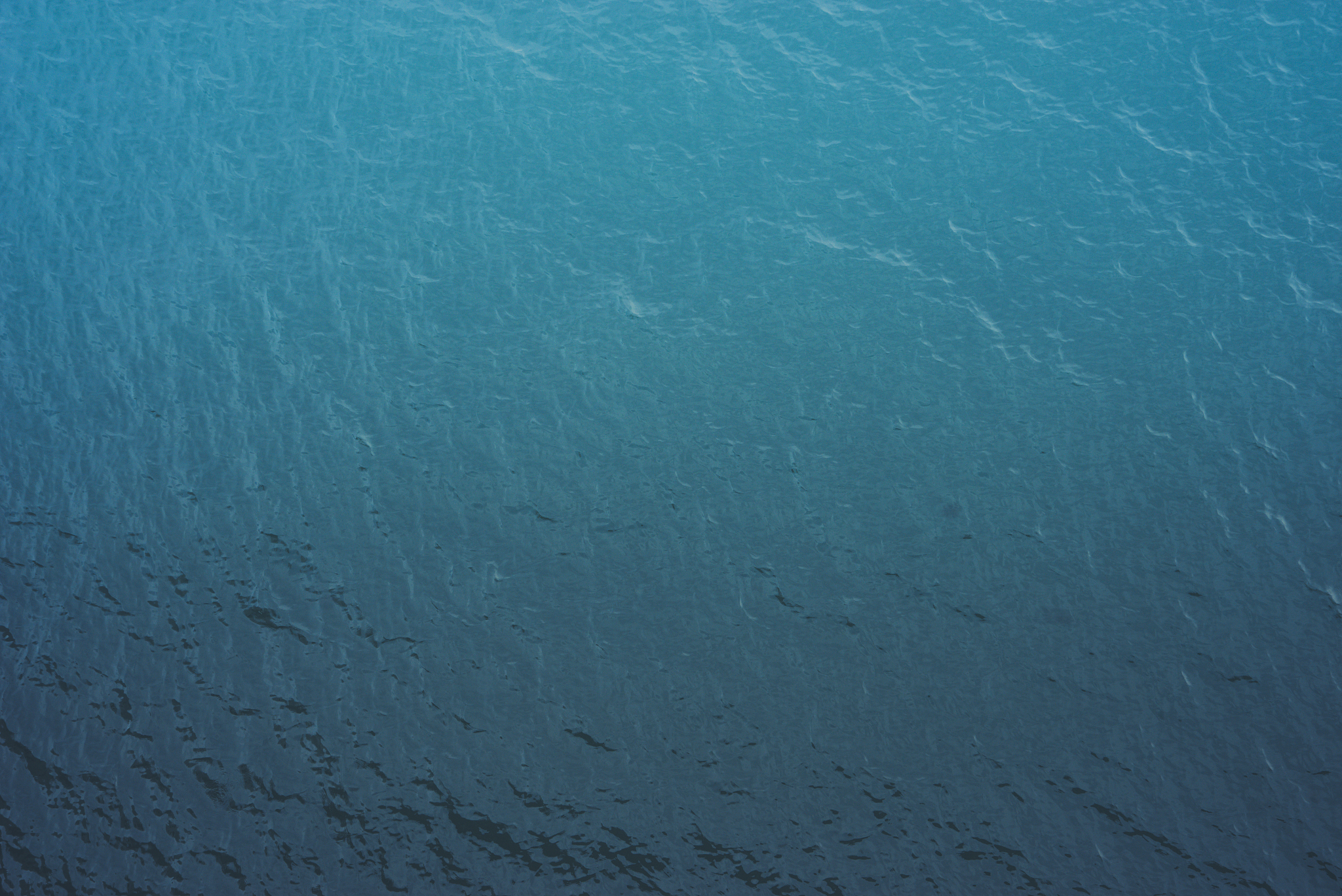 大连海洋学校2021年招生计划：本科500人，研究生200人