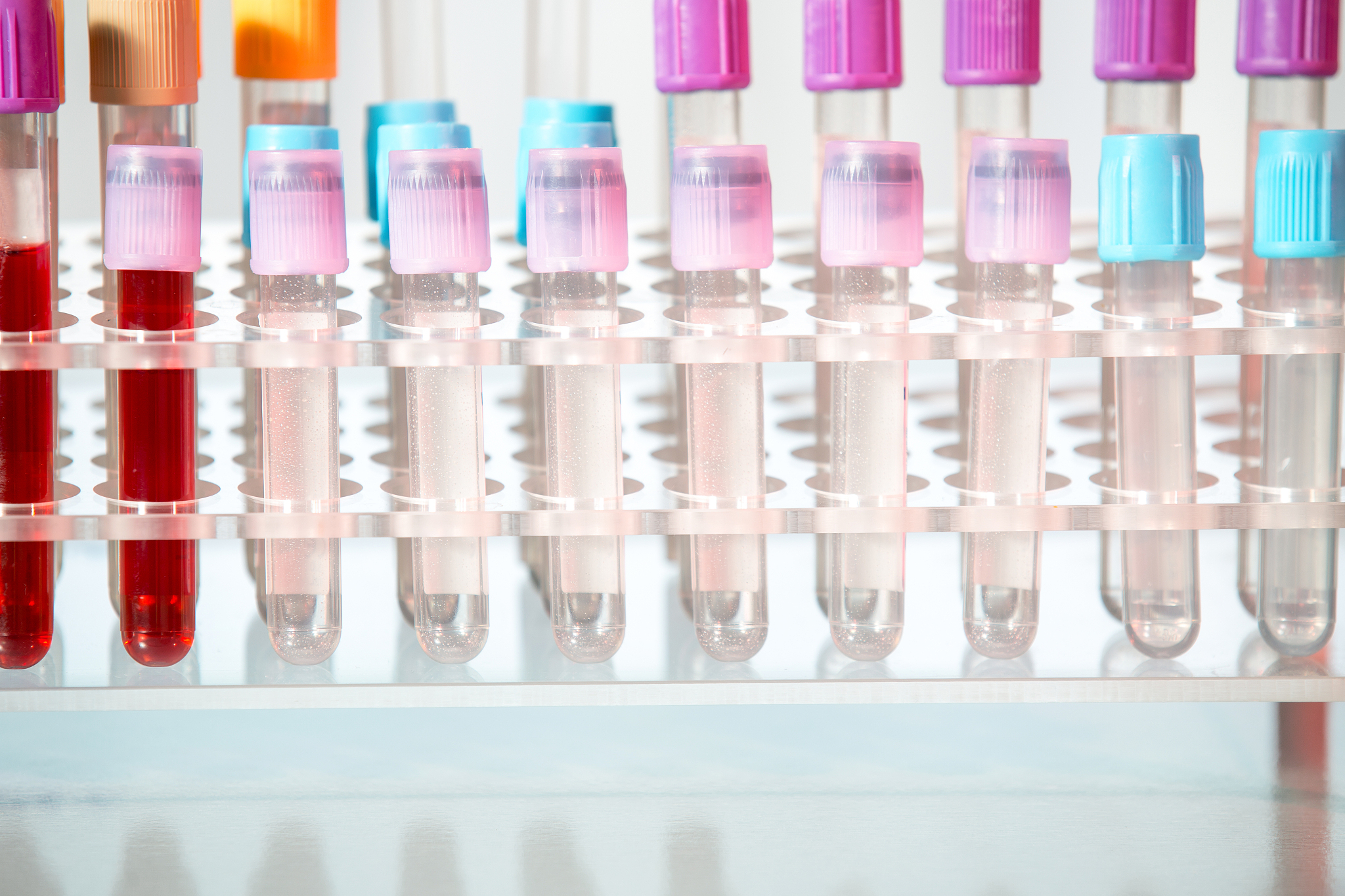 大连医科大学生物医学工程专业怎么样