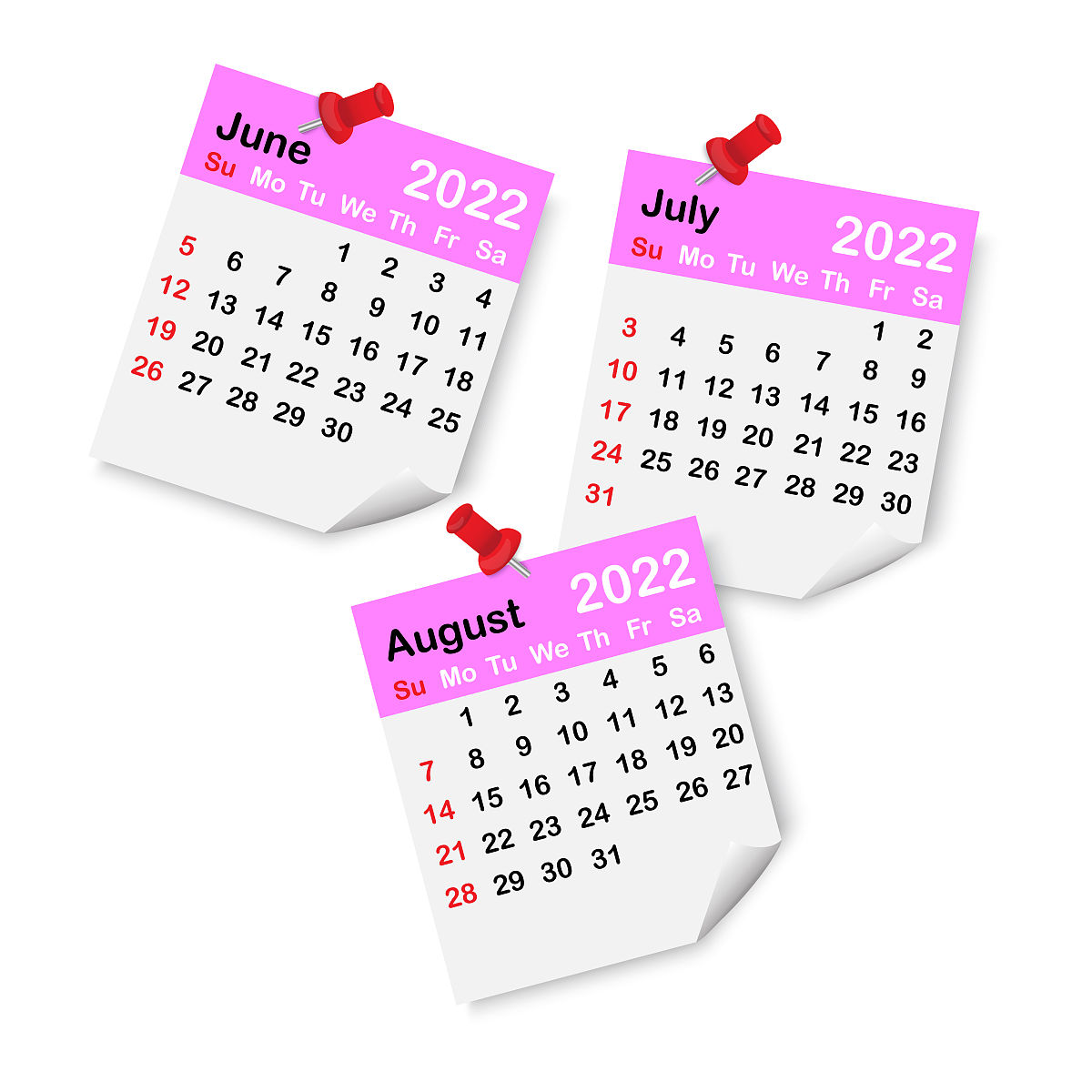 2004年12月21日出生的人，2023年农历生日是哪天？