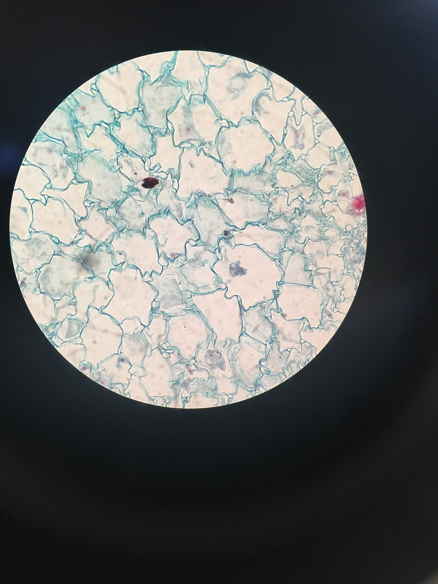 江西生物科技职业学院水产养殖技术专业怎么样