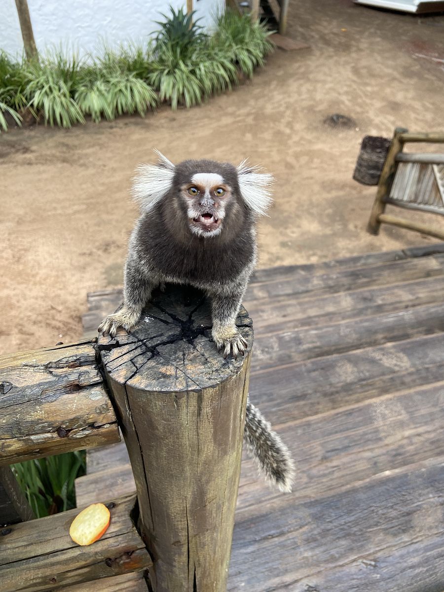 90绒是什么？90绒的含义和特点 - 温暖舒适的冬季选择