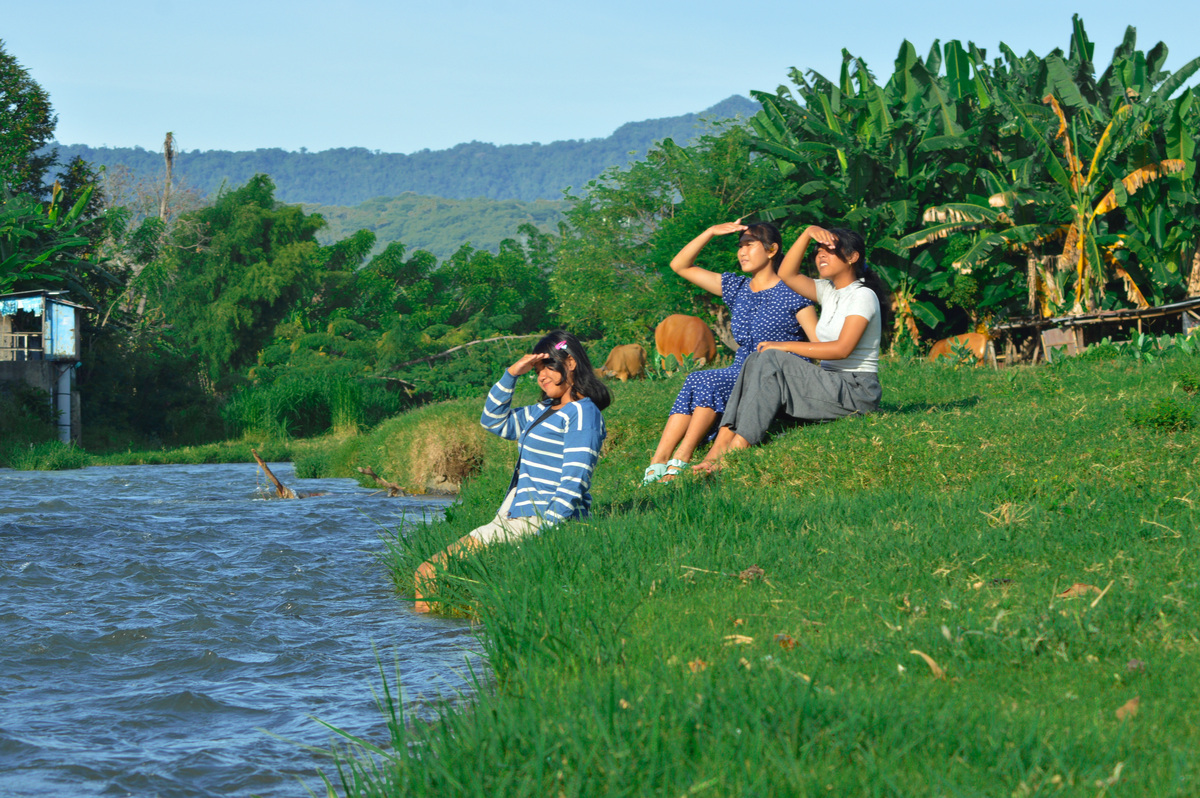 周末家庭游记：公园散步，享受自然与亲情