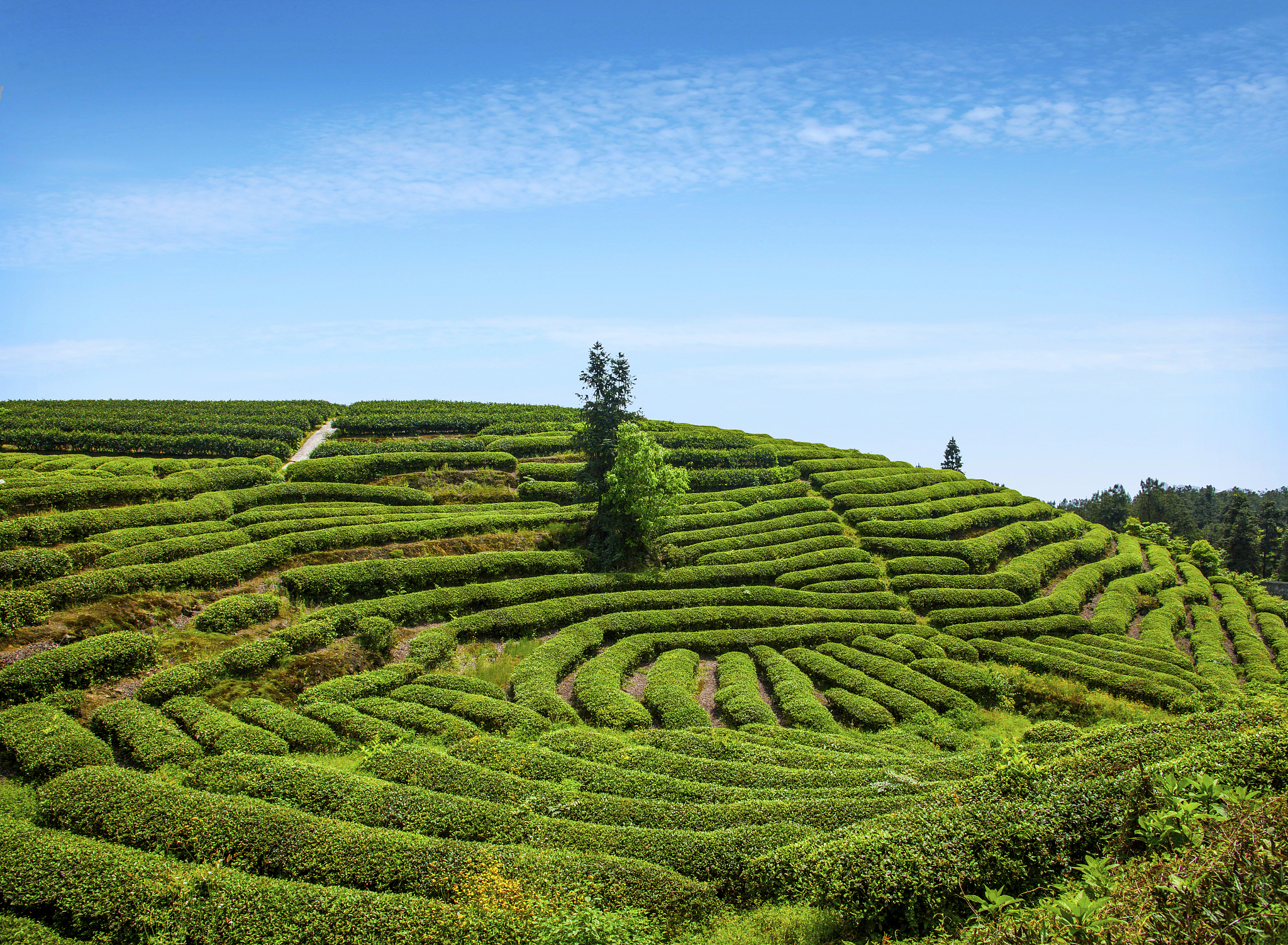 重庆初中升高中录取率详解：影响因素及提升策略