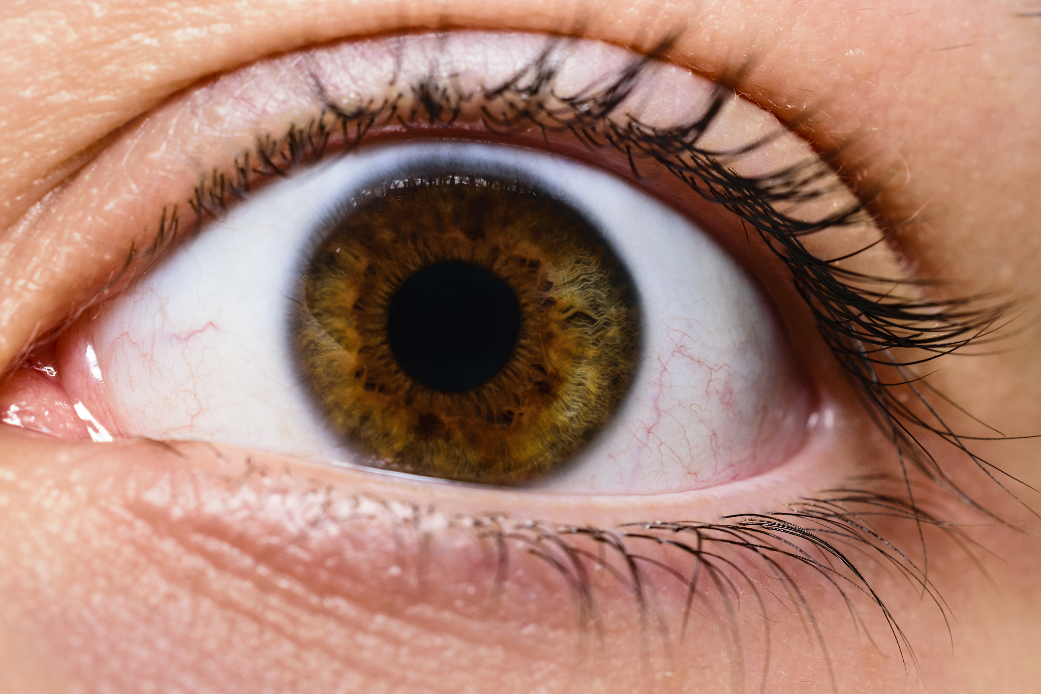 close-up of beautiful intricate eye with brown iris looking at t