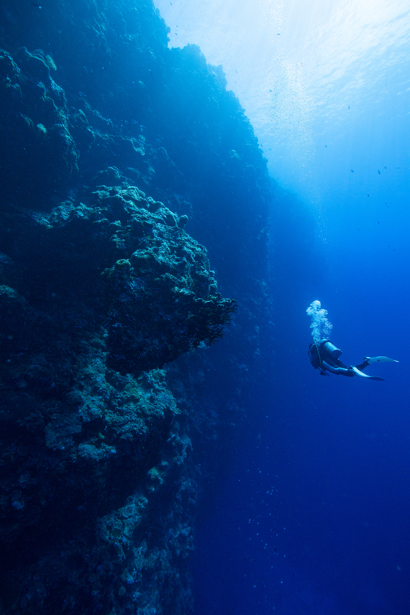 palau scuba diving