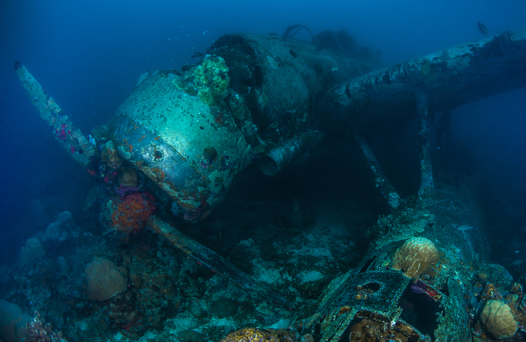 ii world war japanese sea plane