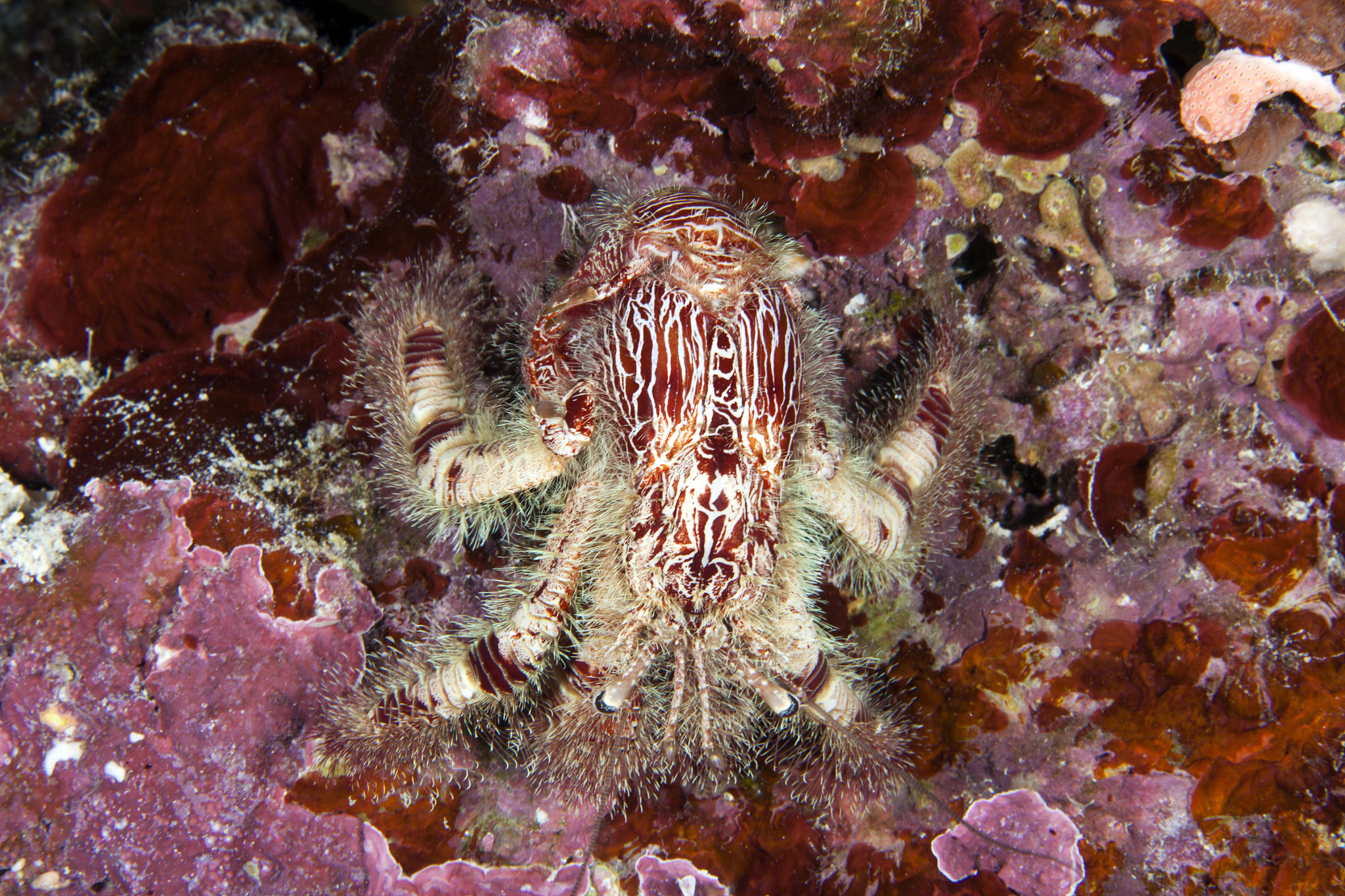 探索未知世界：奇妙旅程的启航