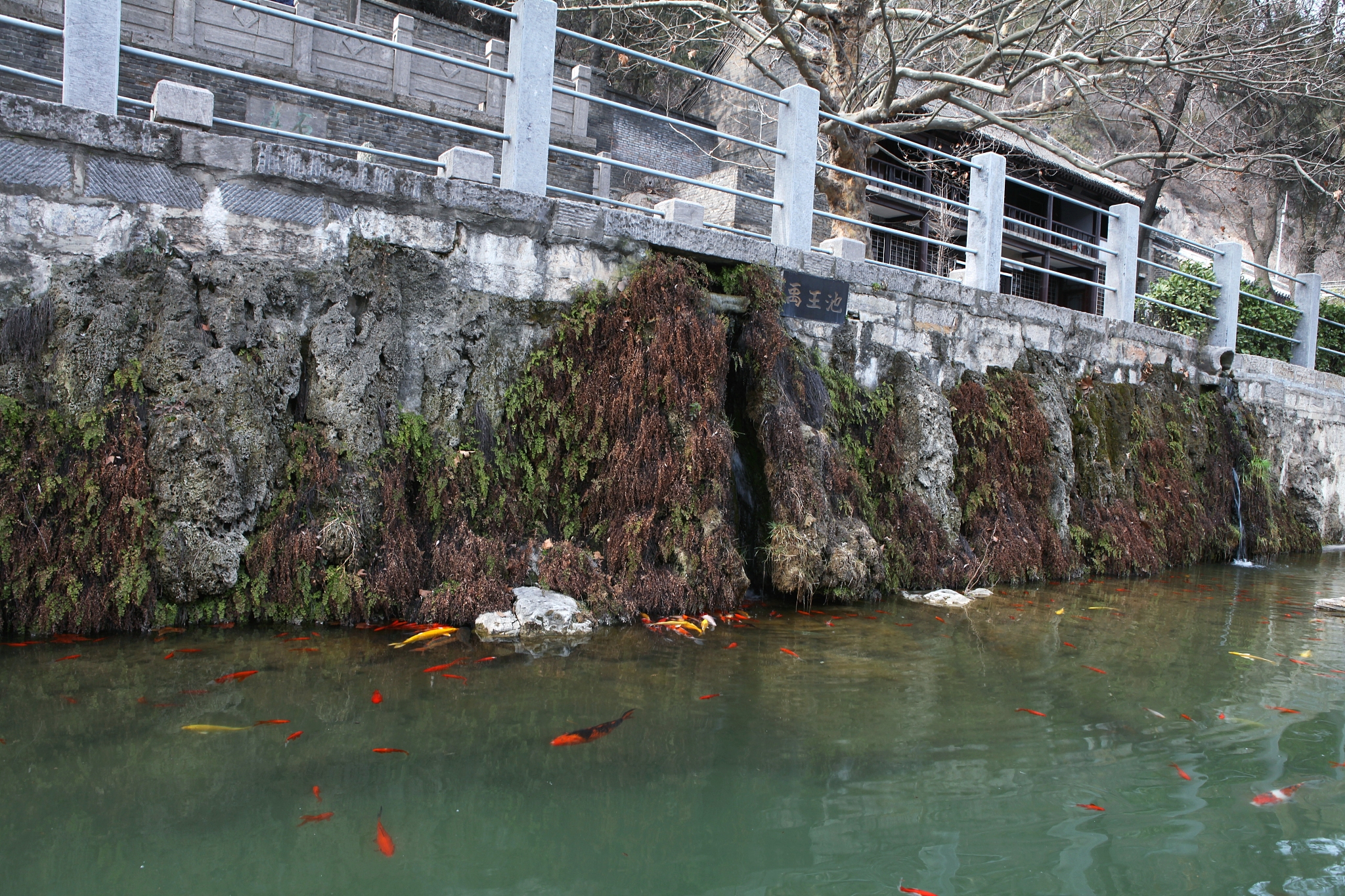 2022年河南建筑职业技术学院招生简章