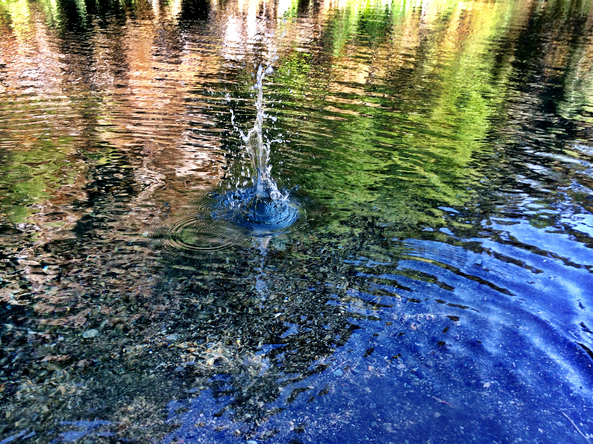 splash
