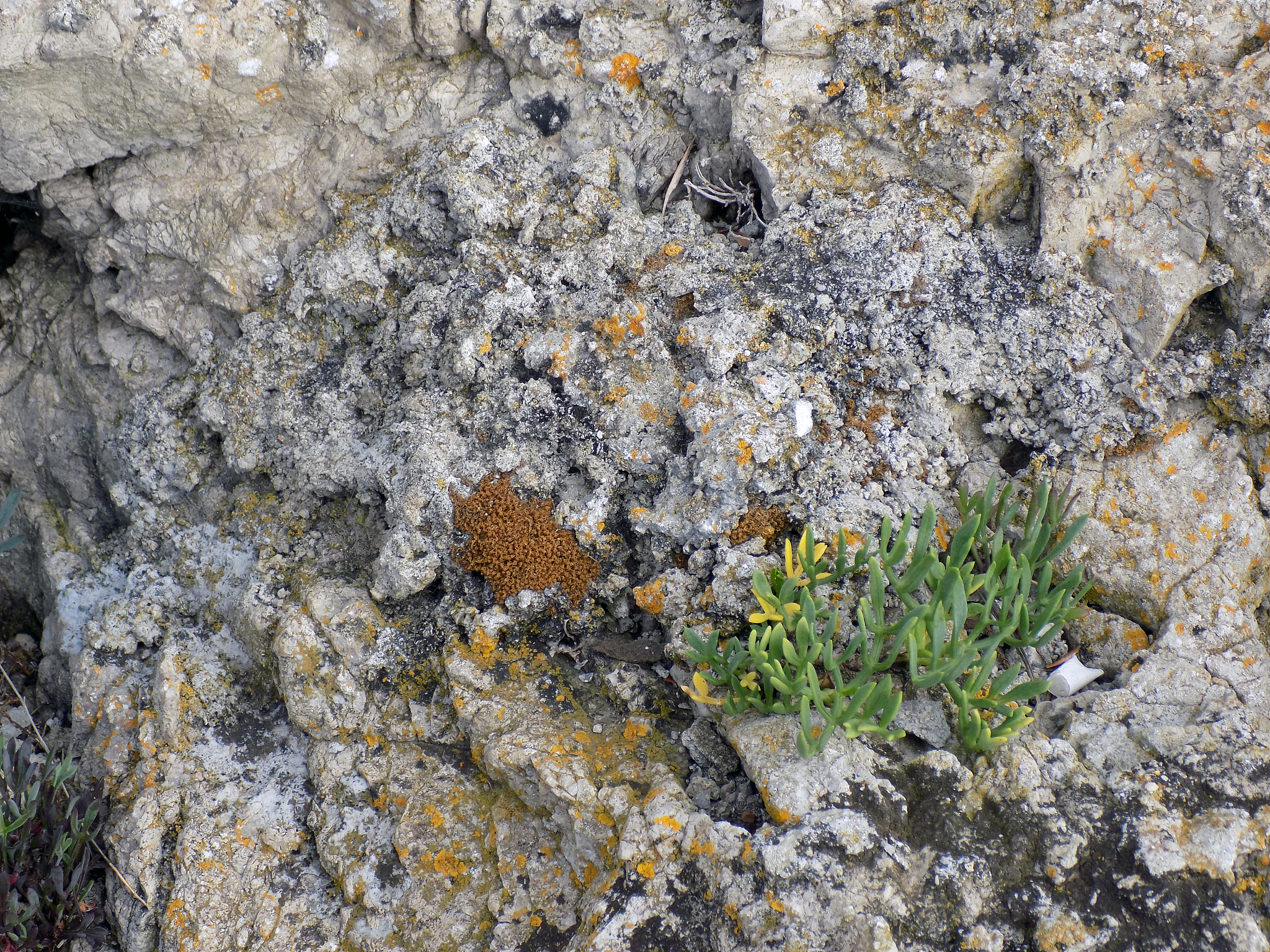 什么是冻土层？