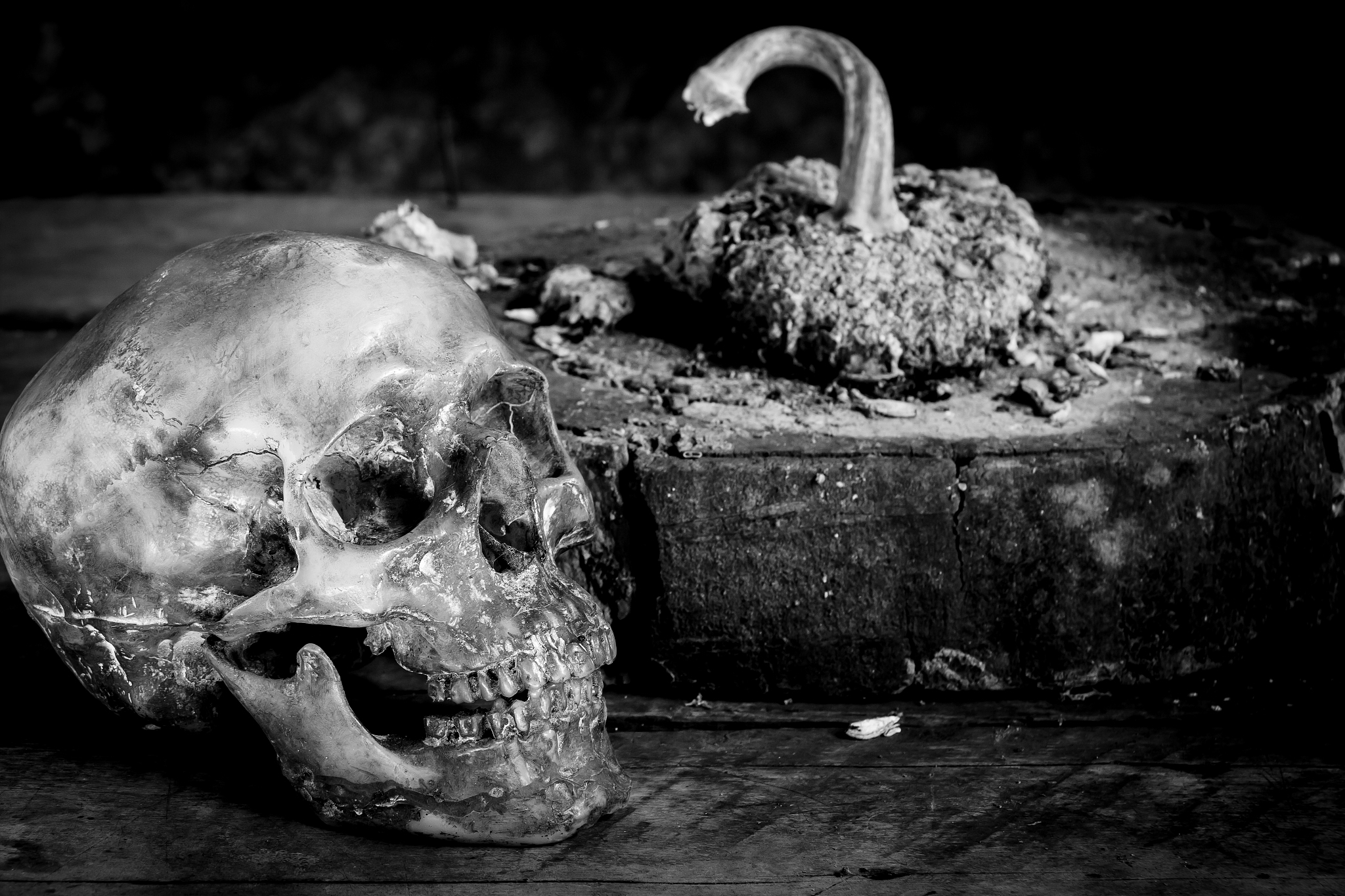 still life black and white human skulls on wood