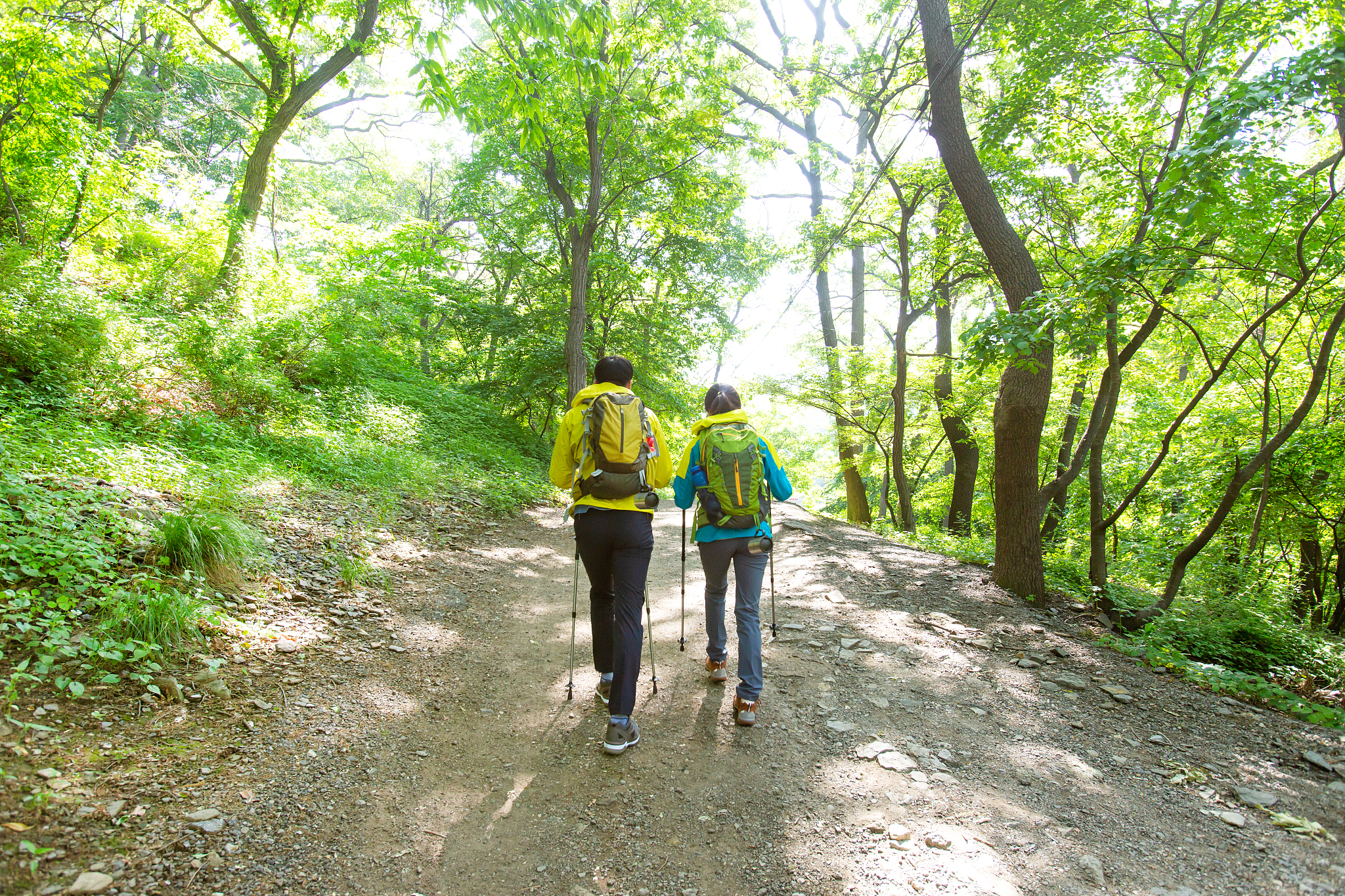 徒步：定义、目的和类型