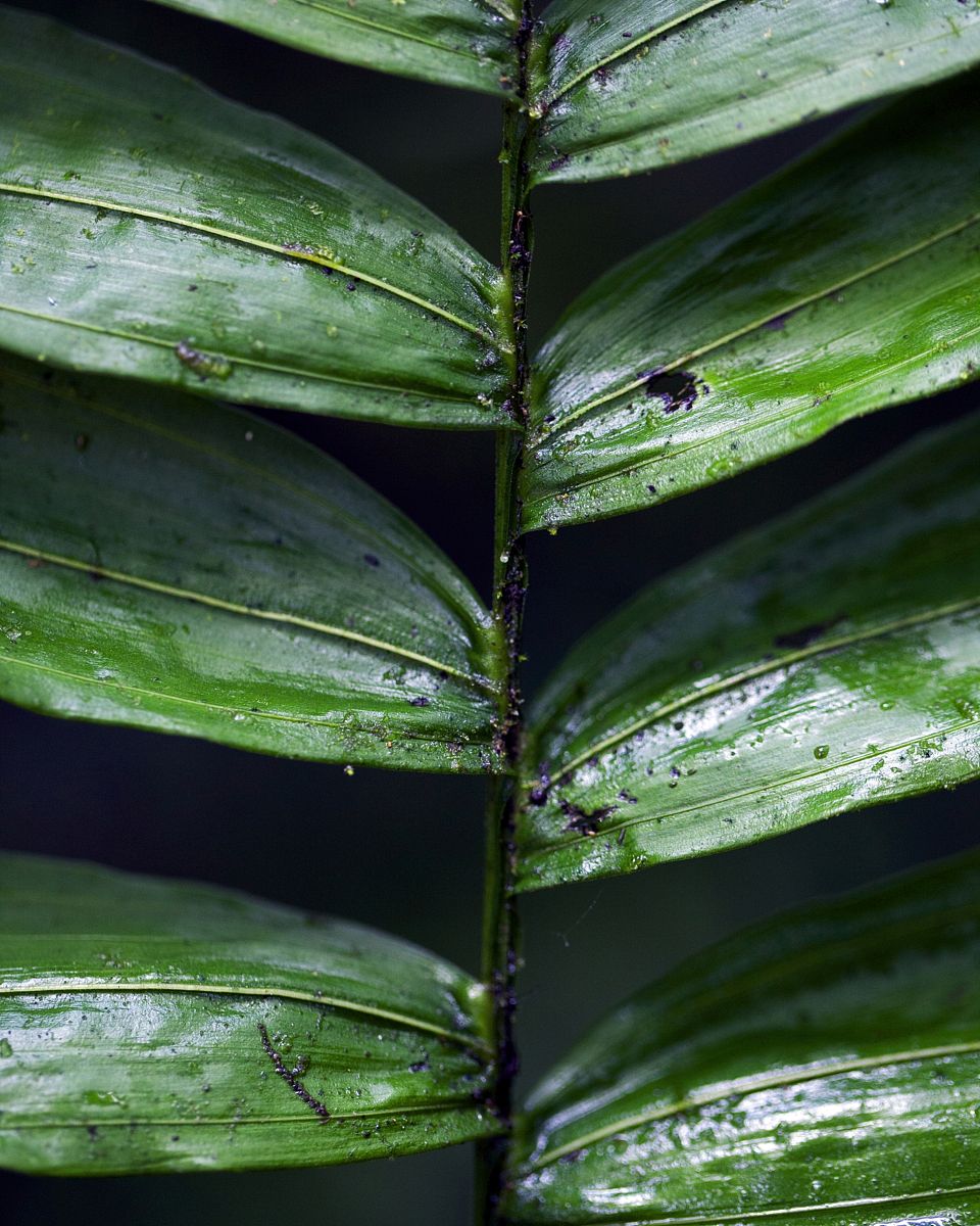 平凉农业学校2021年招生简章 - 报考指南及专业介绍