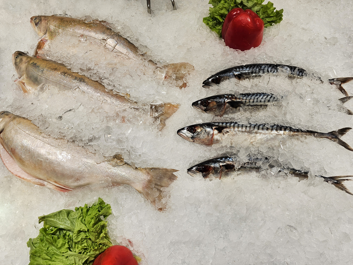 鱼仔的营养价值与食用风险：好处与坏处分析