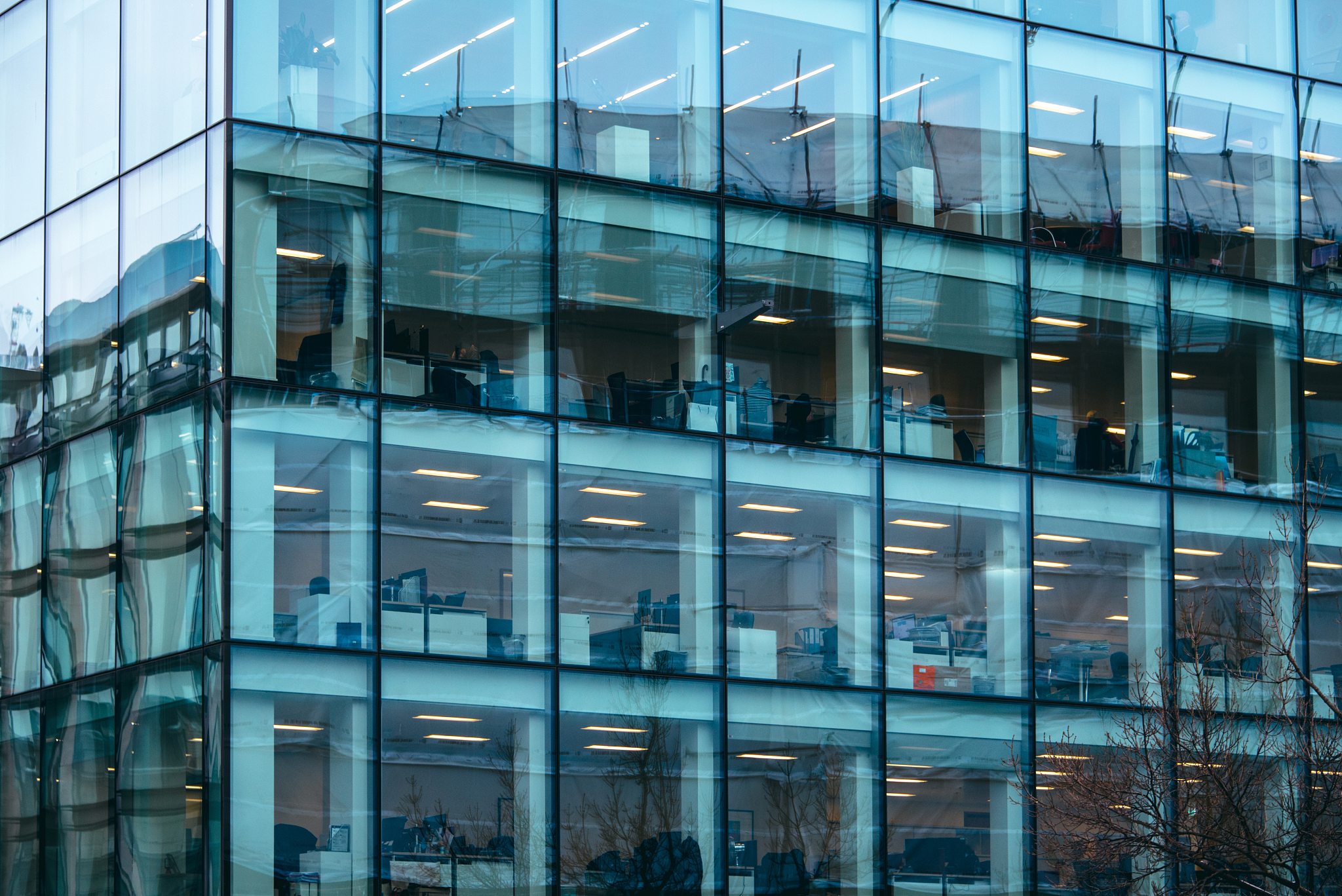 office building glass facade