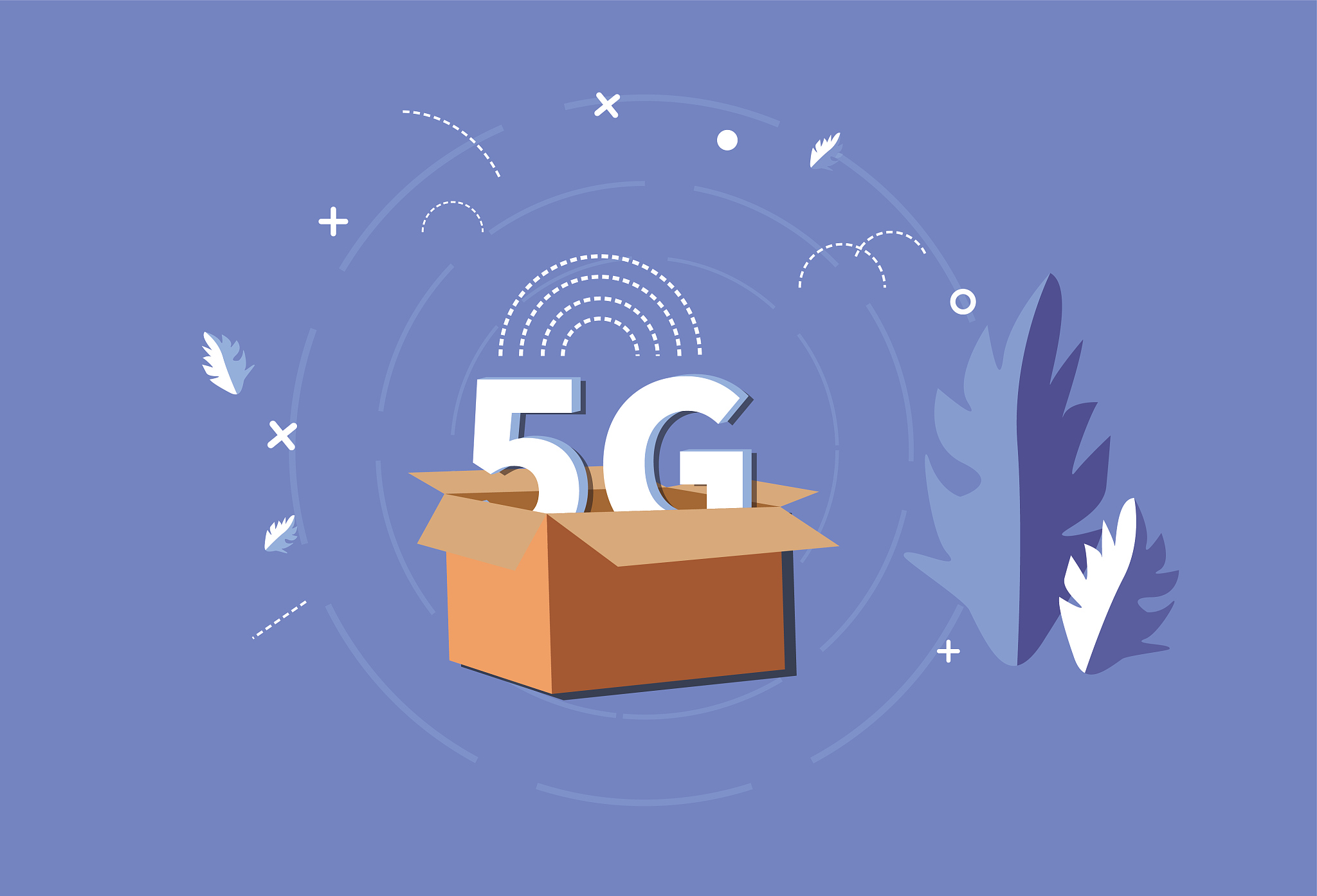 5g and express box