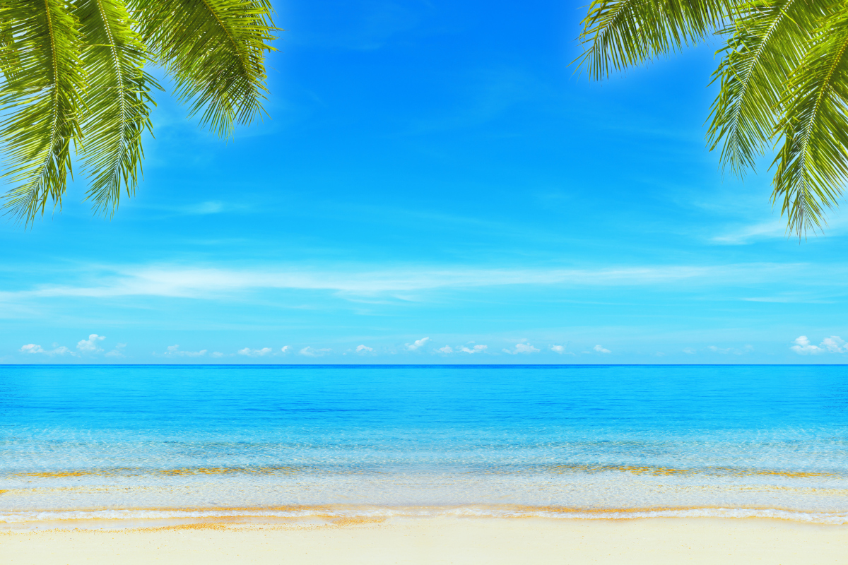 写一段50字左右的夏日片段