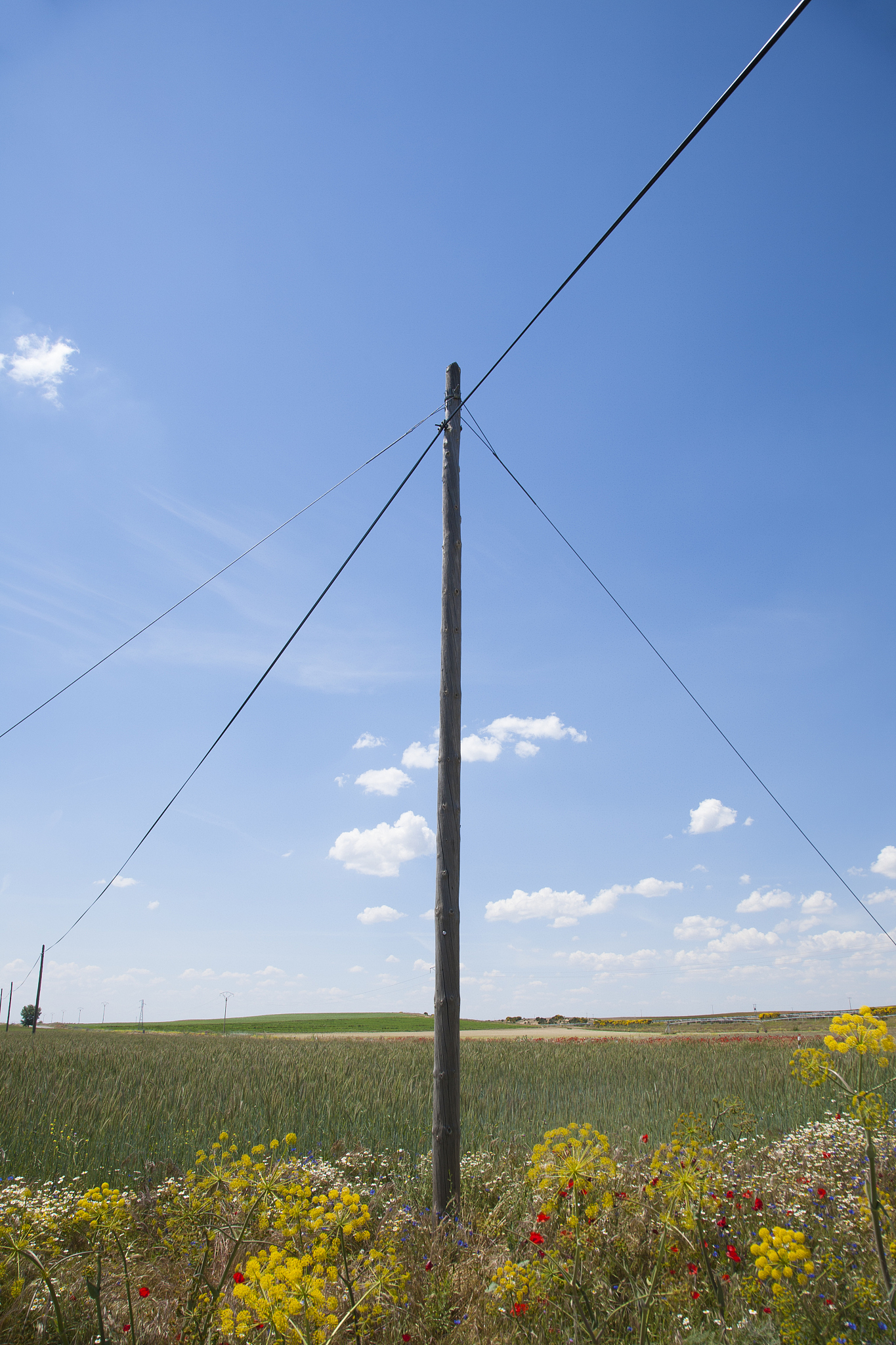 ancient telephone pole
