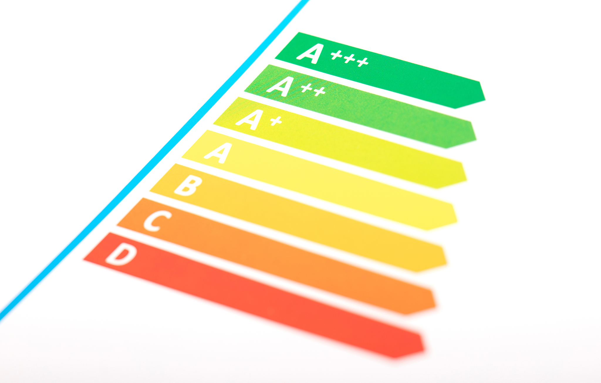 网语rbg什么意思