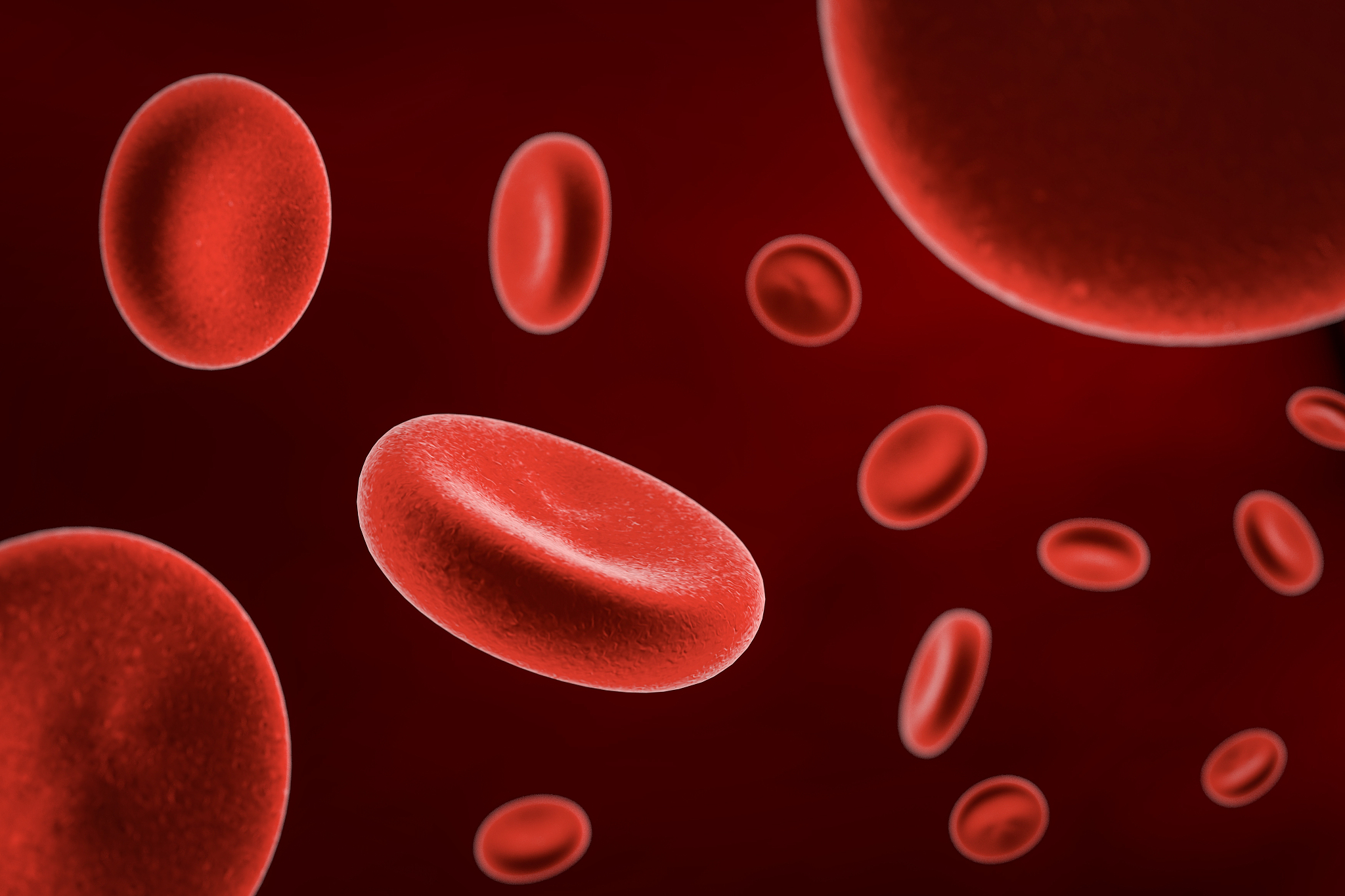 人凝血因子Ⅷ：结构、功能与临床意义