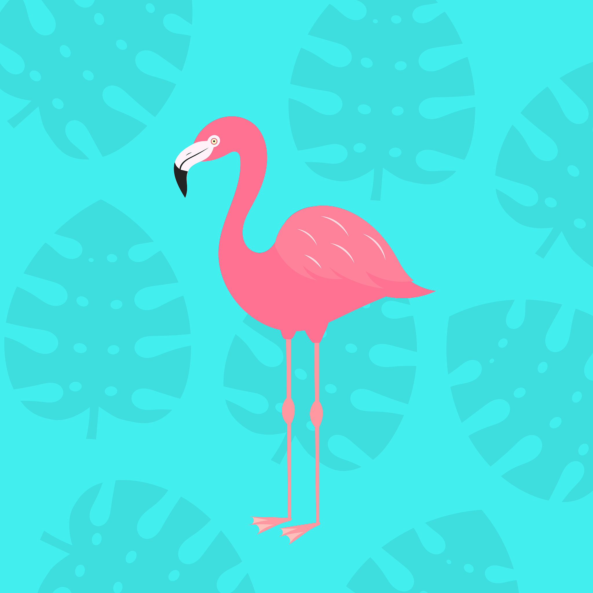 Flamingo翻译