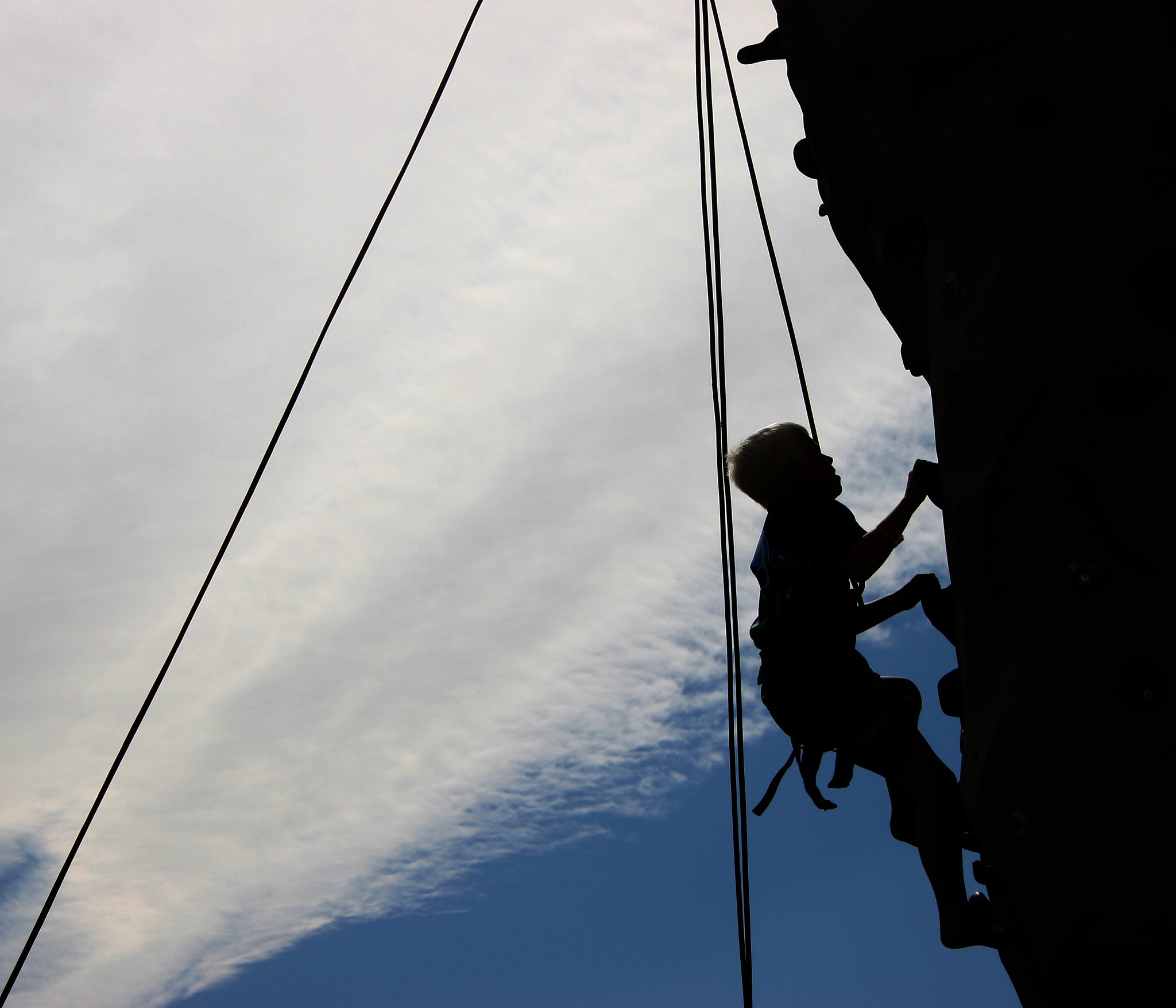绵阳农业学校畜牧兽医专业前景好不好
