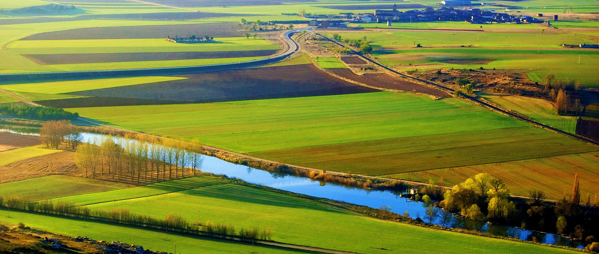 spring fields