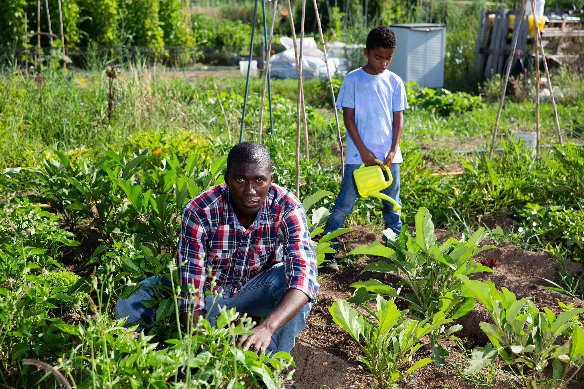 眉山市仁寿县华达中等职业学校设施农业与装备专业怎么样？好不好？