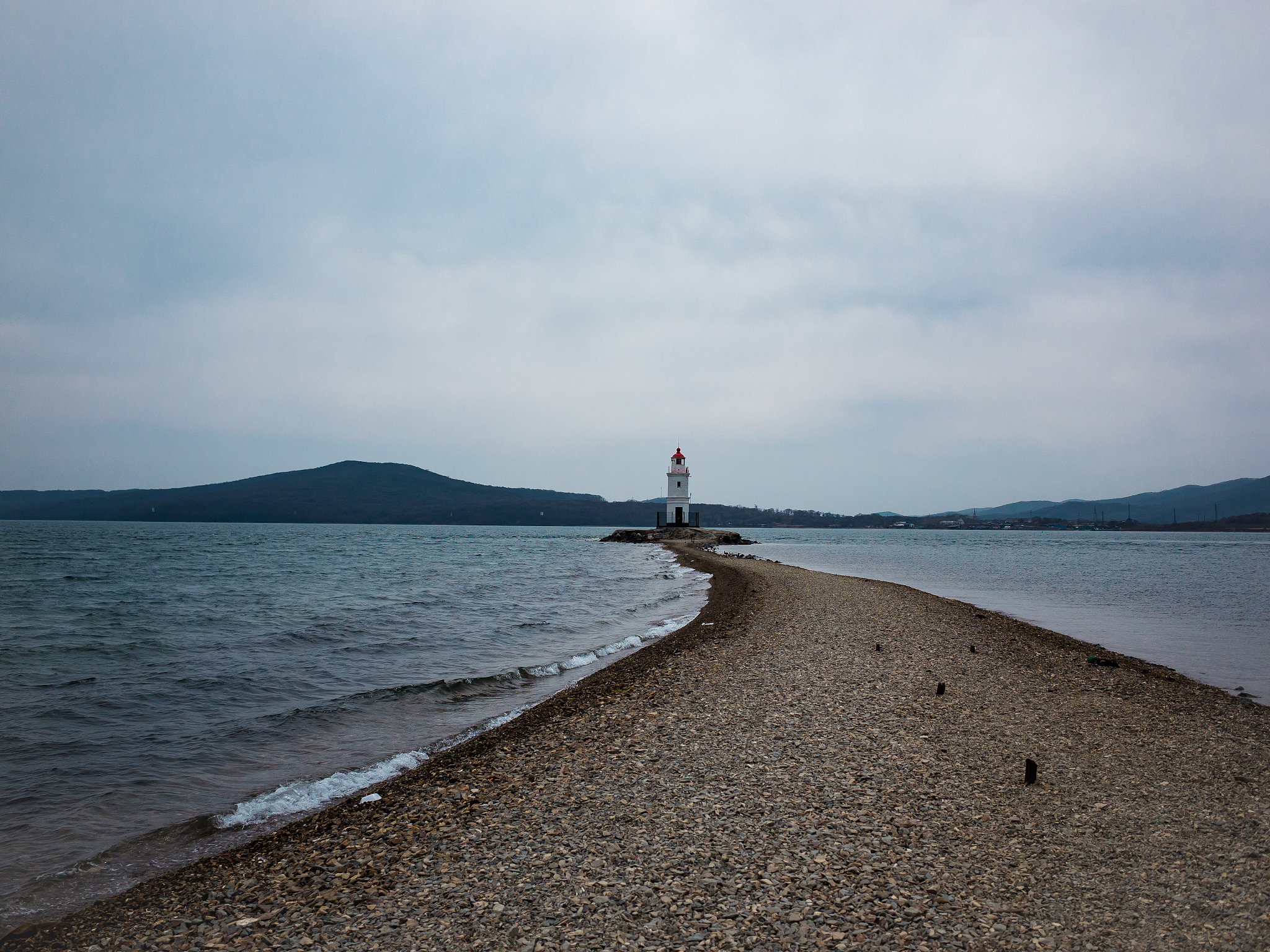 托卡生活大自然手游更新日志：全新场景、动植物等你探索！