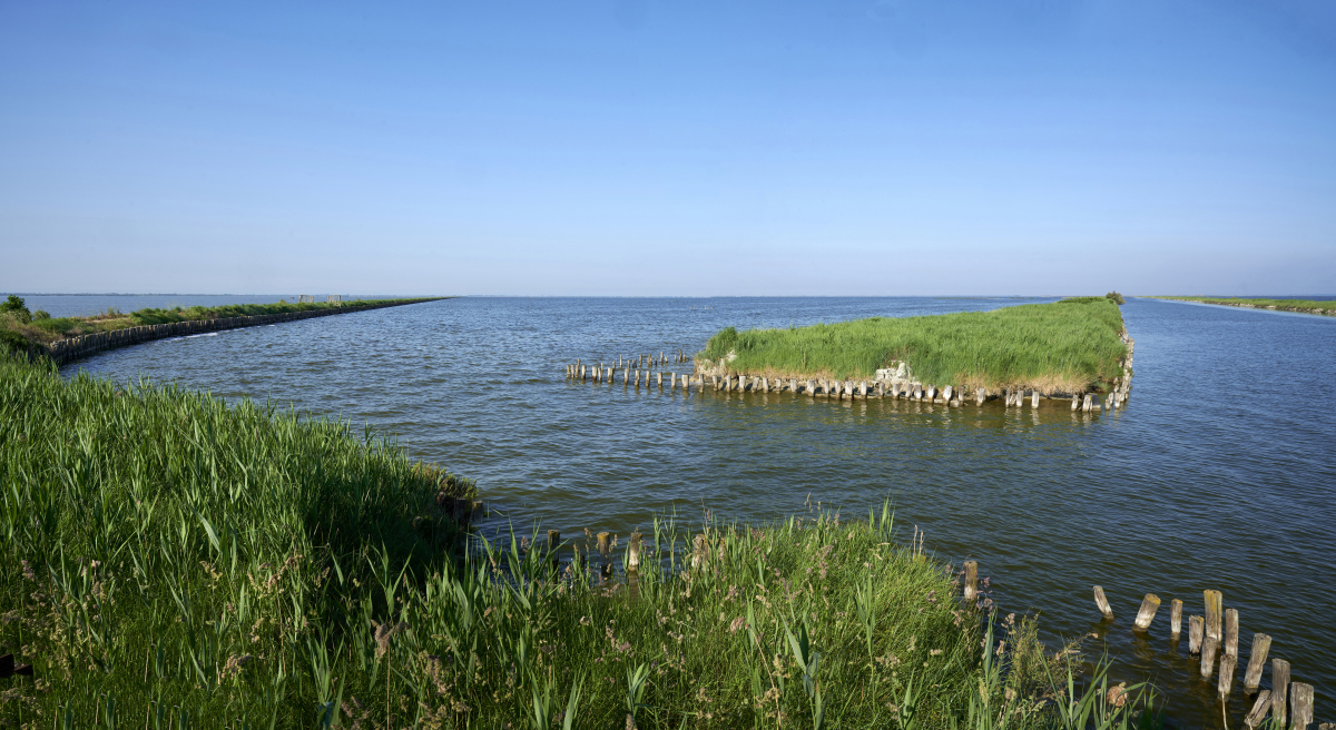 盐城黄海湿地世界自然遗产：探索'自然、生态、健康、创新'的旅游品牌理念