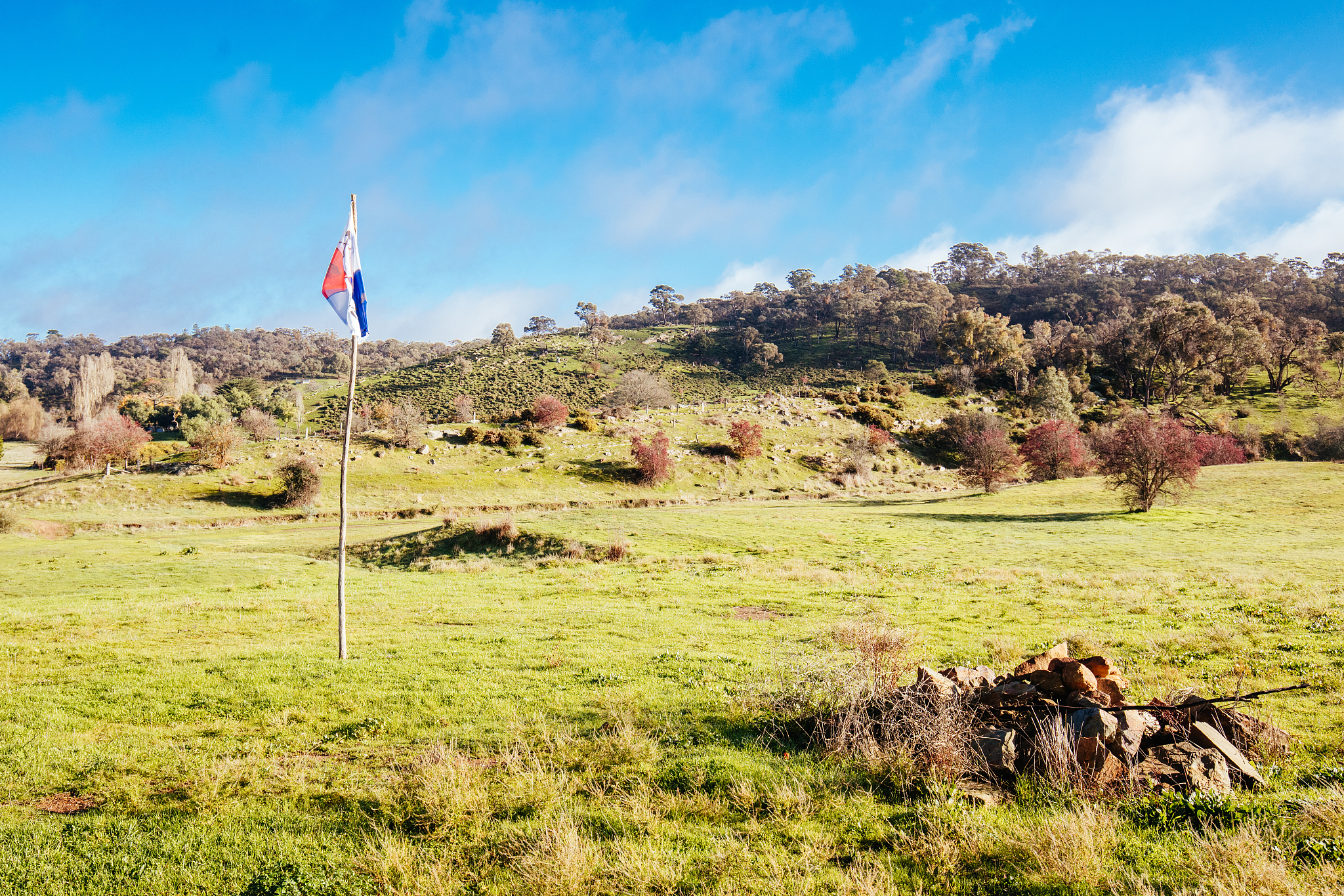 monster meeting site of diggers 1851 in australia