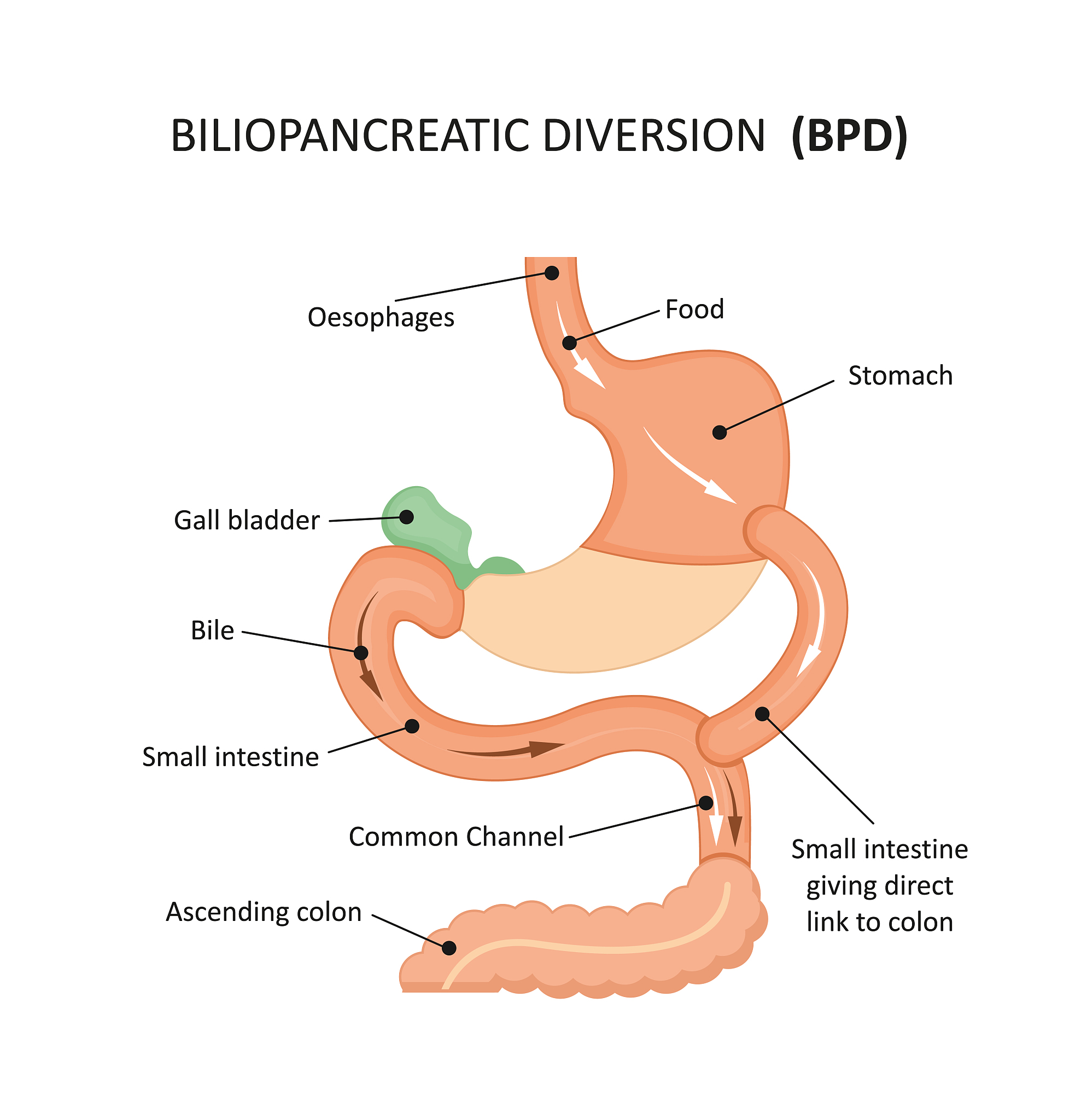 湖州学院生物工程专业就业前景及方向分析
