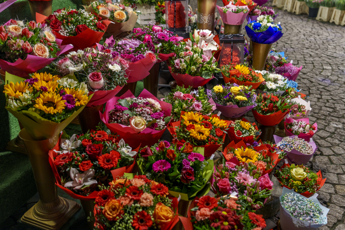 湖南花店市场调查:规模增长,竞争加剧 湖南花店市场调查:规模增长,竞争加剧