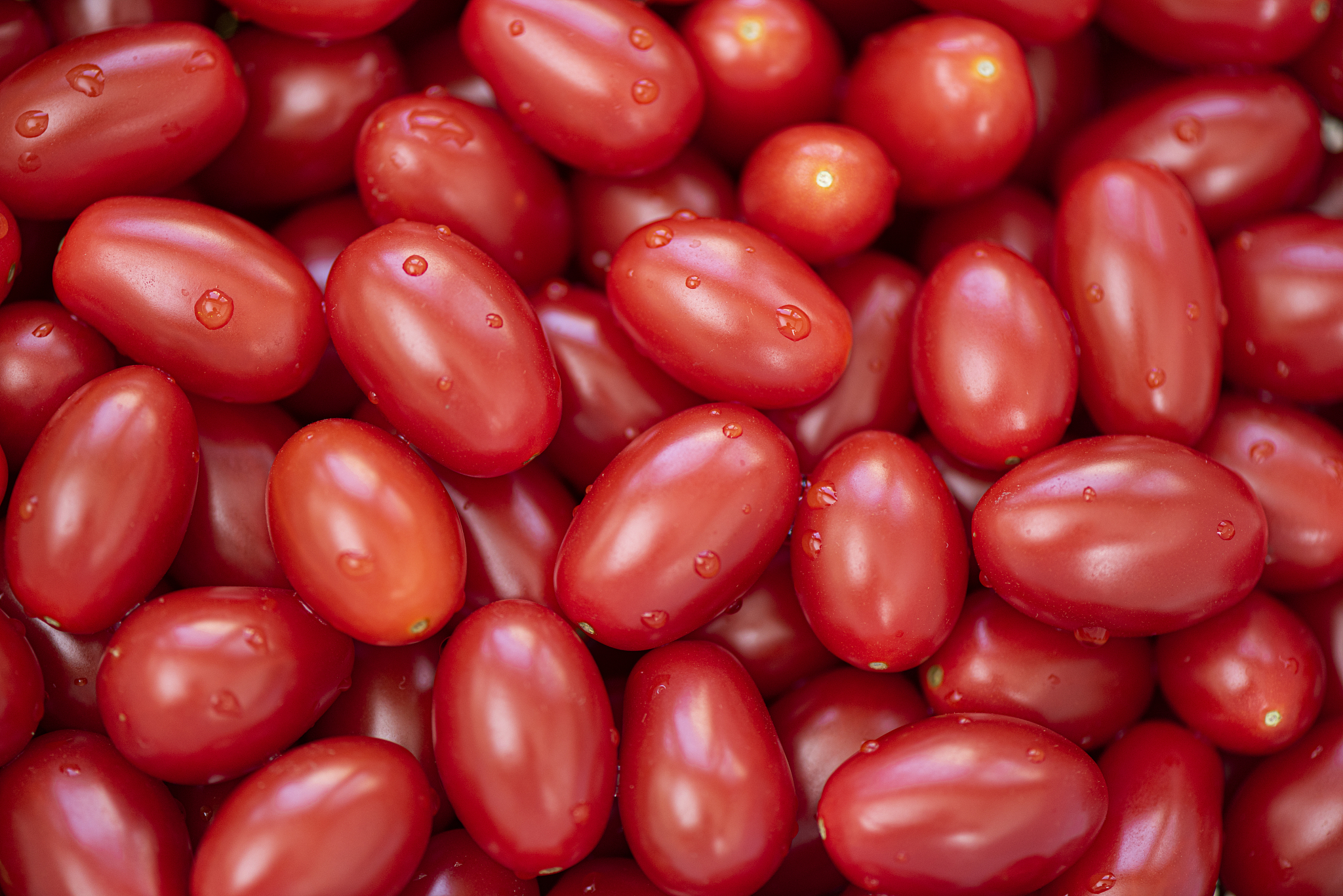 广东农工商职业技术学院食品营养与检测专业就业前景如何